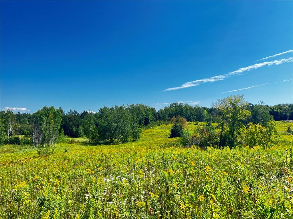 20+ Acres 18th Street Rice Lake WI 54868 1576238 image1