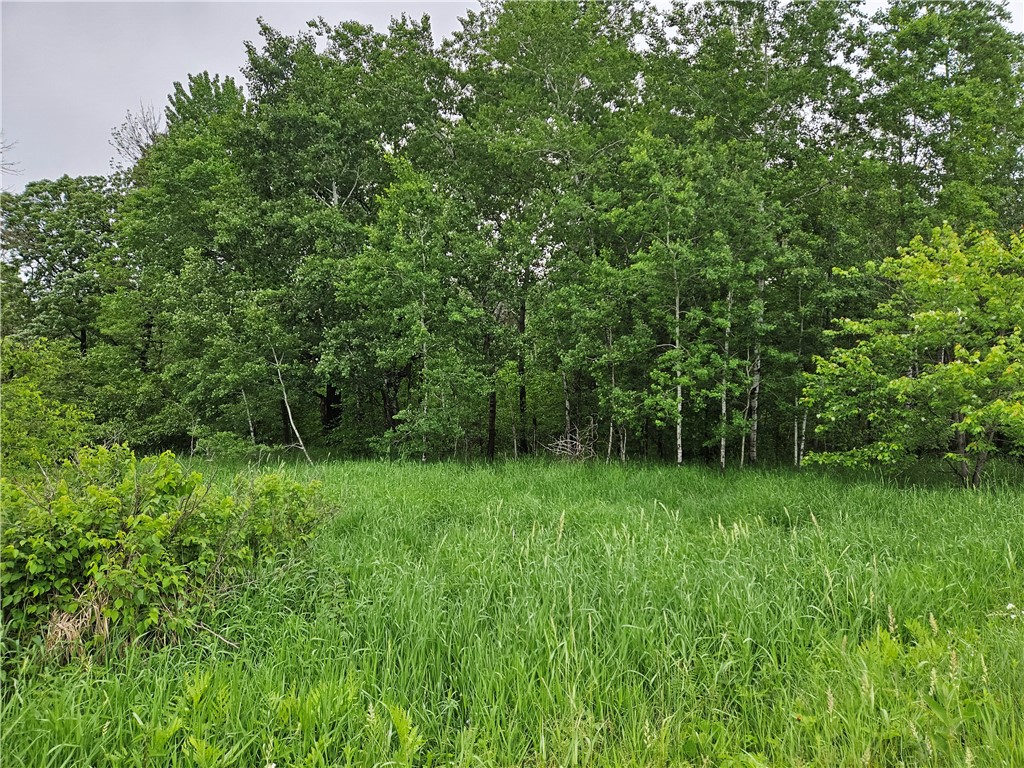 20 Acres 22 1/4 Street Chetek WI 54728 - Cruikshank Creek 1592663 image1