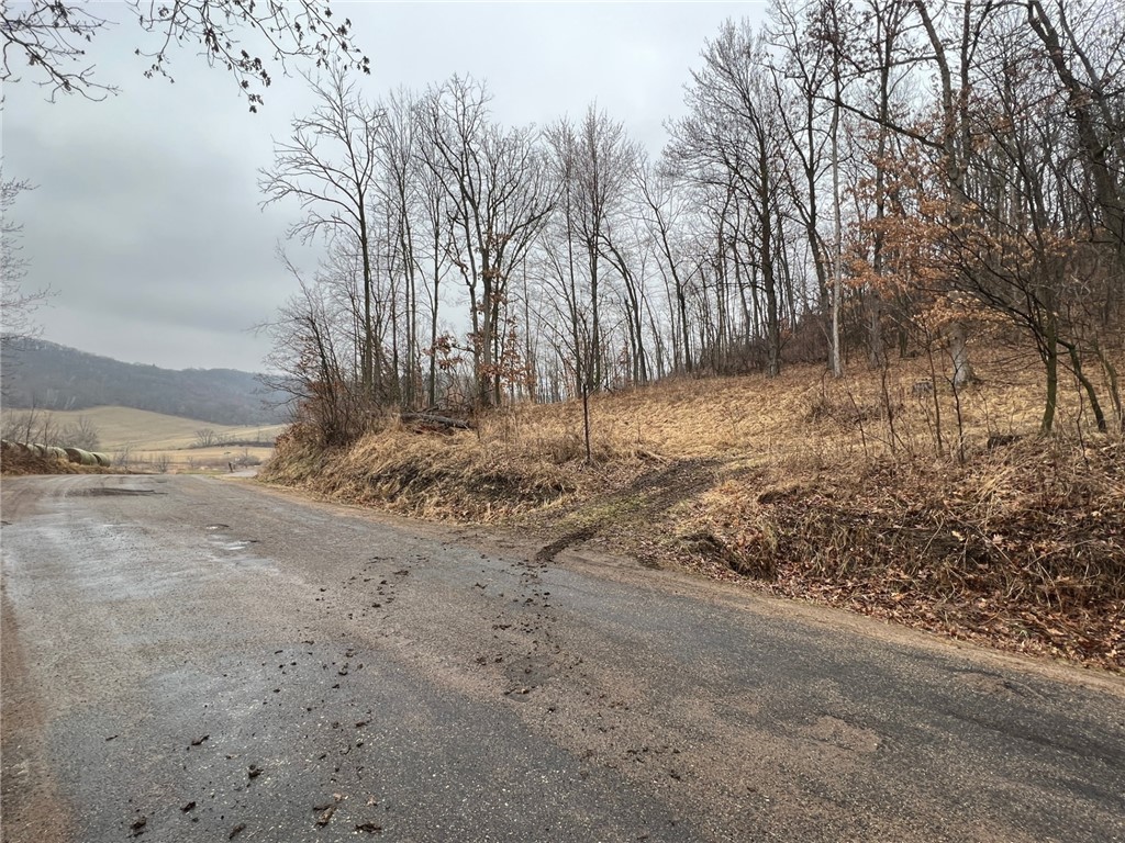 20 Acres Albany X Mondovi WI 54755 1590427 image1