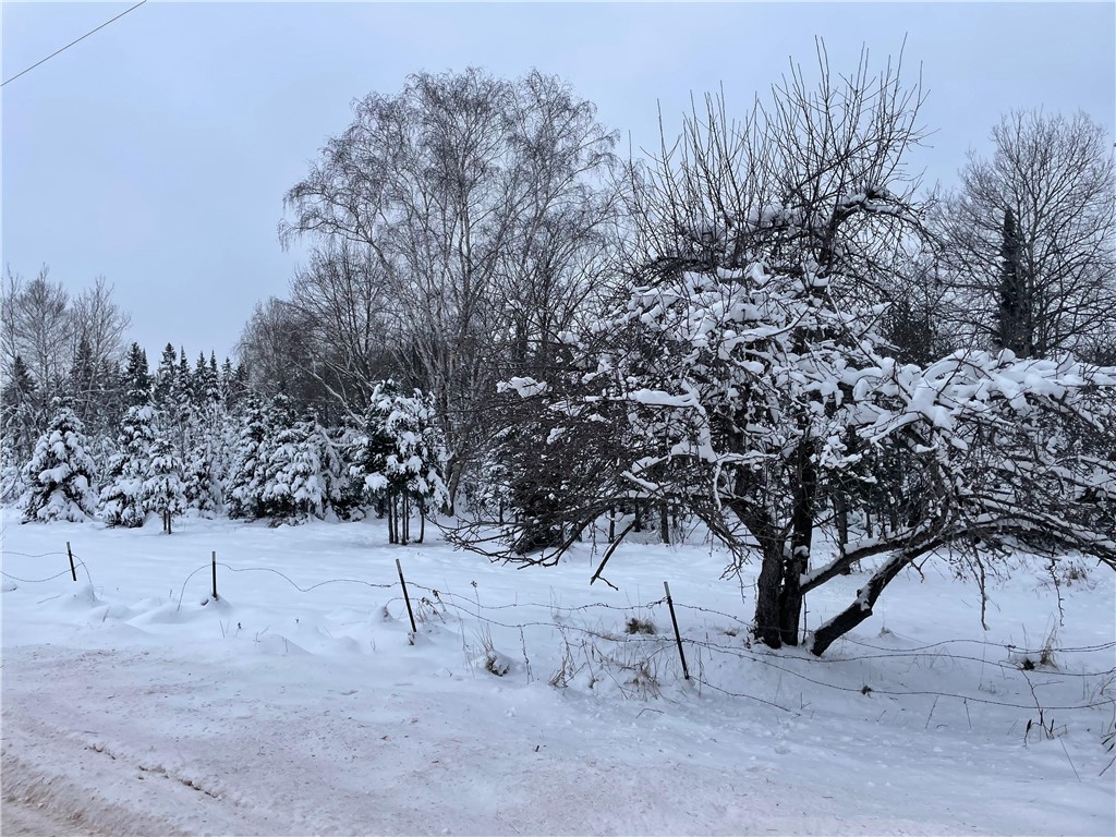 20 +/- Acres County Hwy F Butternut WI 54514 1597417 image1