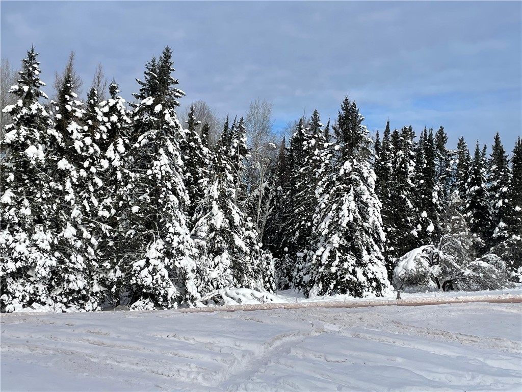 20 +/- Acres County Hwy F Butternut WI 54514 1597417 image2