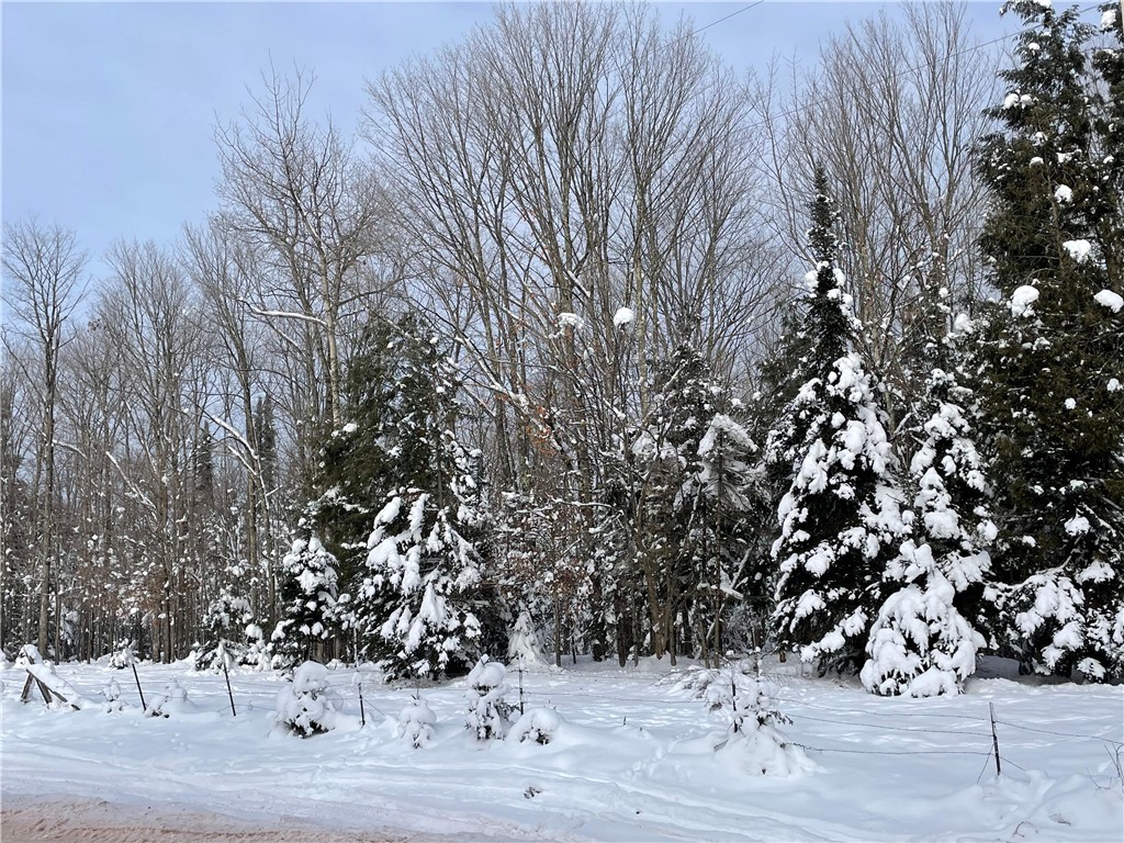 20 +/- Acres County Hwy F Butternut WI 54514 1597417 image4