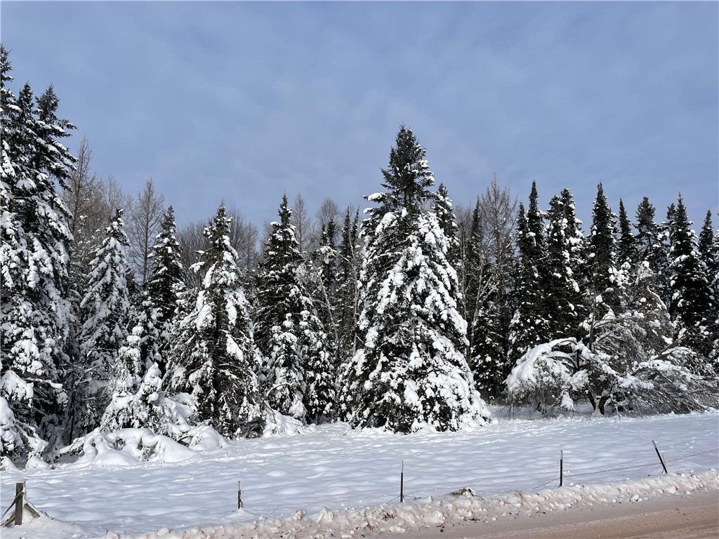 20 +/- Acres County Hwy F Butternut WI 54514 1597417 image5