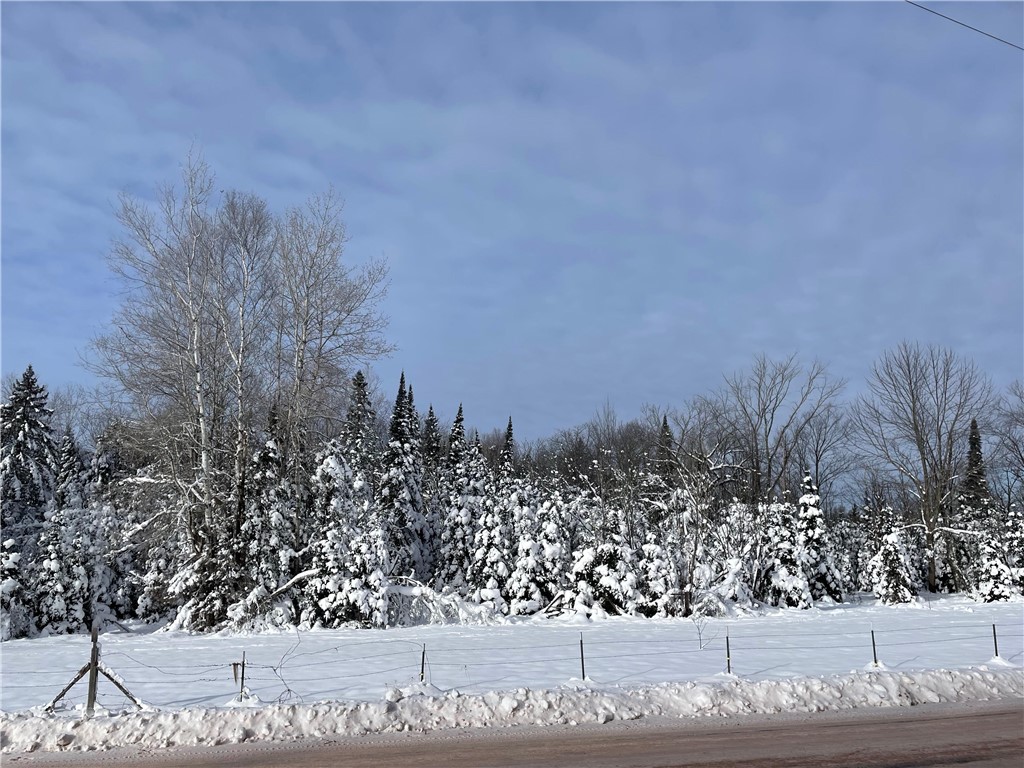 20 +/- Acres County Hwy F Butternut WI 54514 1597417 image6