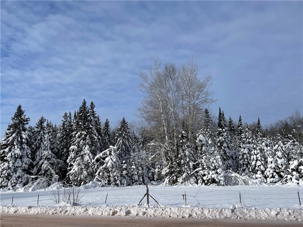 20 +/- Acres County Hwy F Butternut WI 54514 1597417 image7