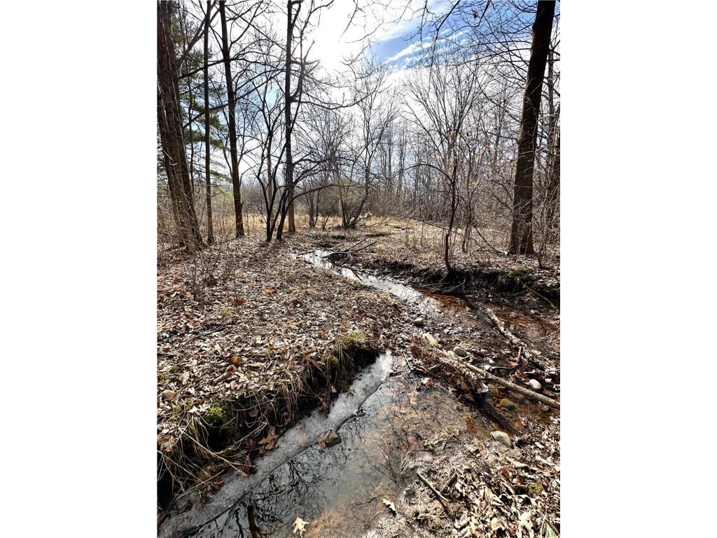 20+- Acres(Lot 2) 15th Street Clayton WI 54004 - NO NAME. 1589651 image1
