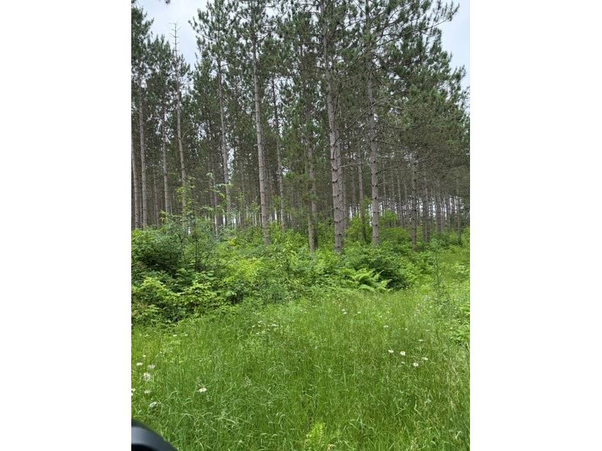 20 Acres N 5th Avenue Trego WI 54888 1602724 image10