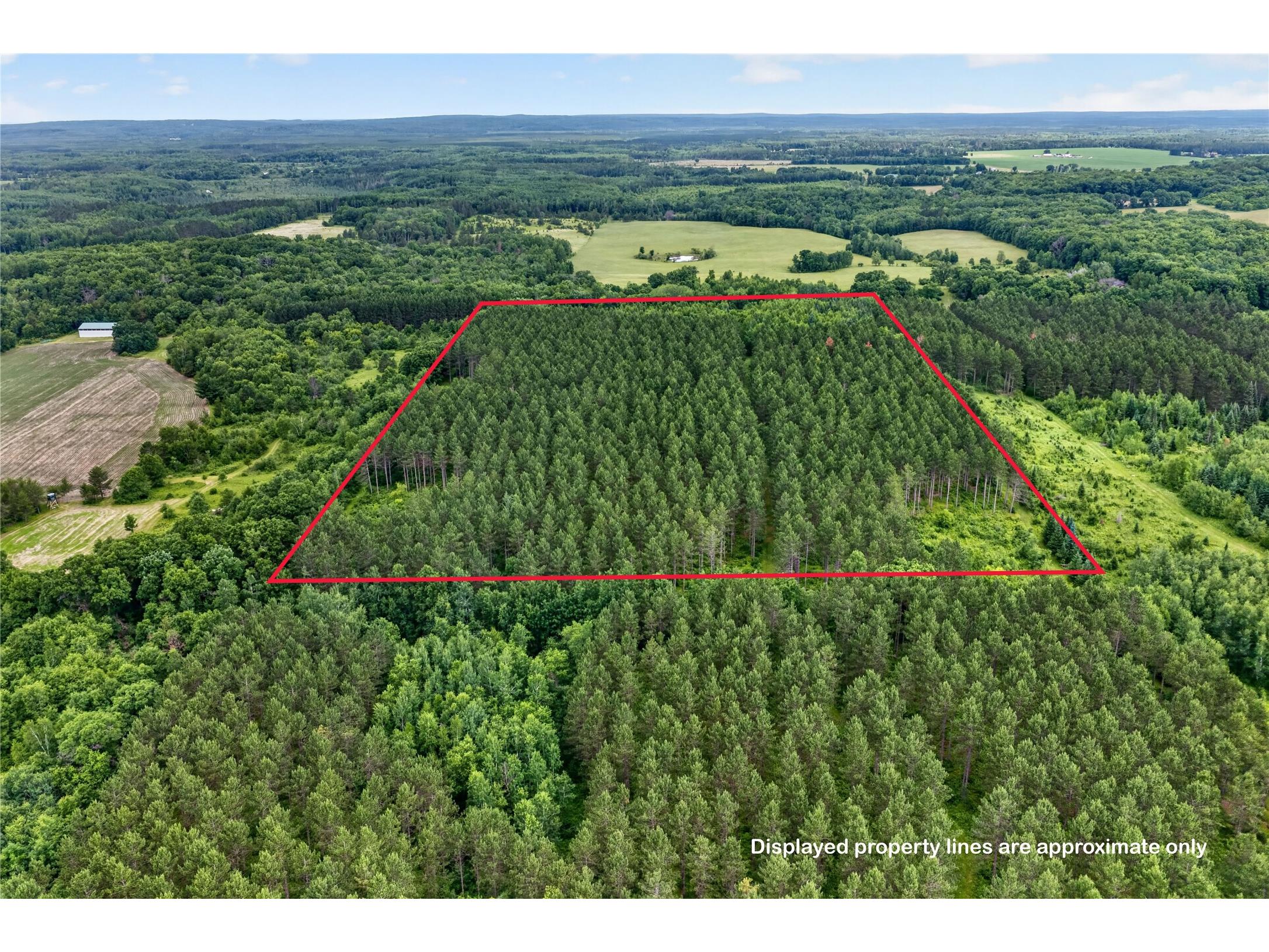 20 Acres N 5th Avenue Trego WI 54888 1602724 image2