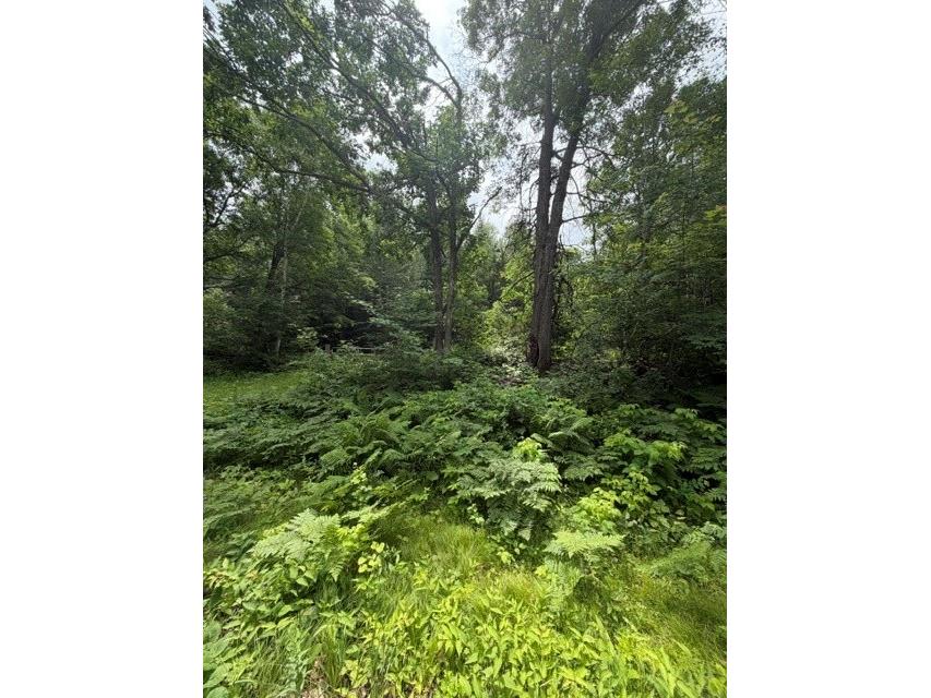 20 Acres N 5th Avenue Trego WI 54888 1602724 image3