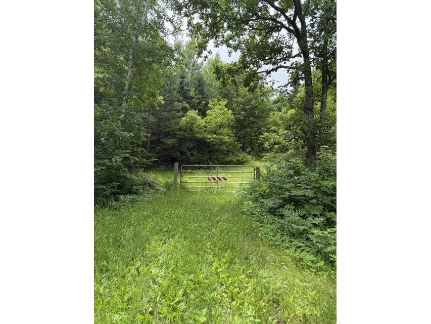 20 Acres N 5th Avenue Trego WI 54888 1602724 image4