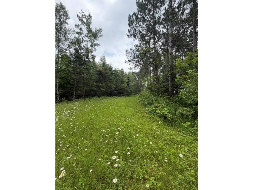 20 Acres N 5th Avenue Trego WI 54888 1602724 image6