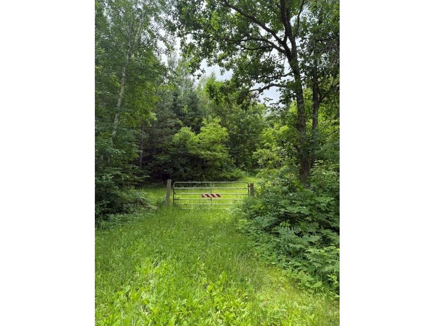 20 Acres N 5th Avenue Trego WI 54888 1602724 image8