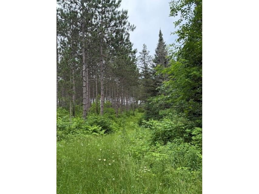 20 Acres N 5th Avenue Trego WI 54888 1602724 image9