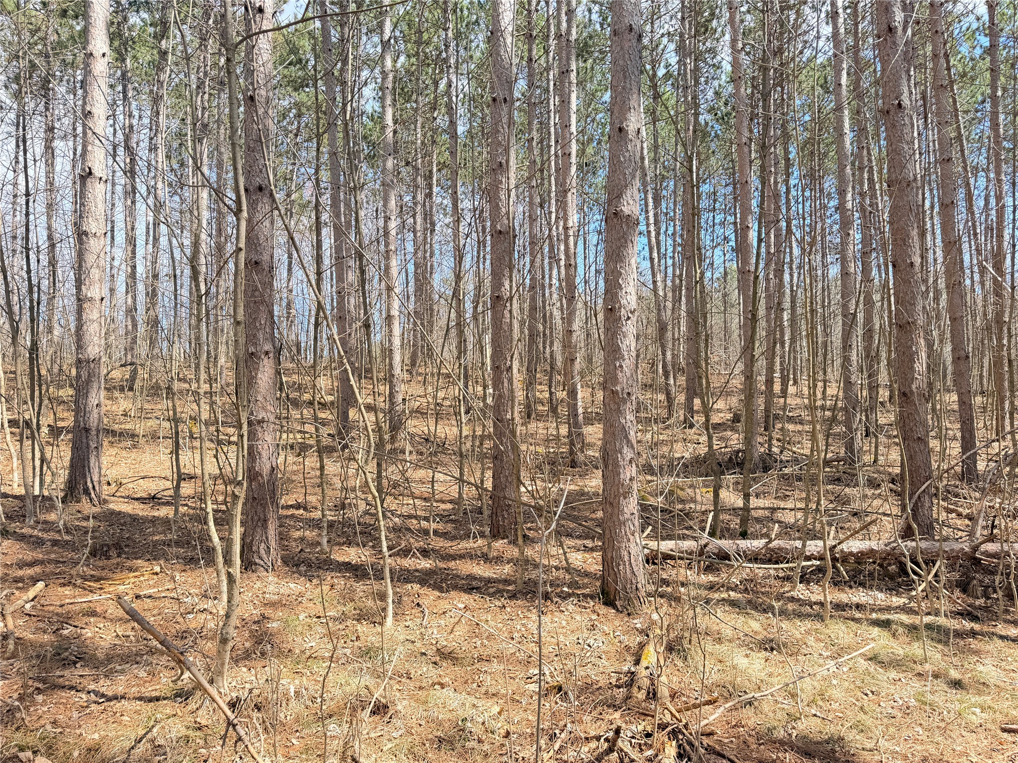 20 Acres Star Lake Road Rice Lake WI 54868 1598594 image10