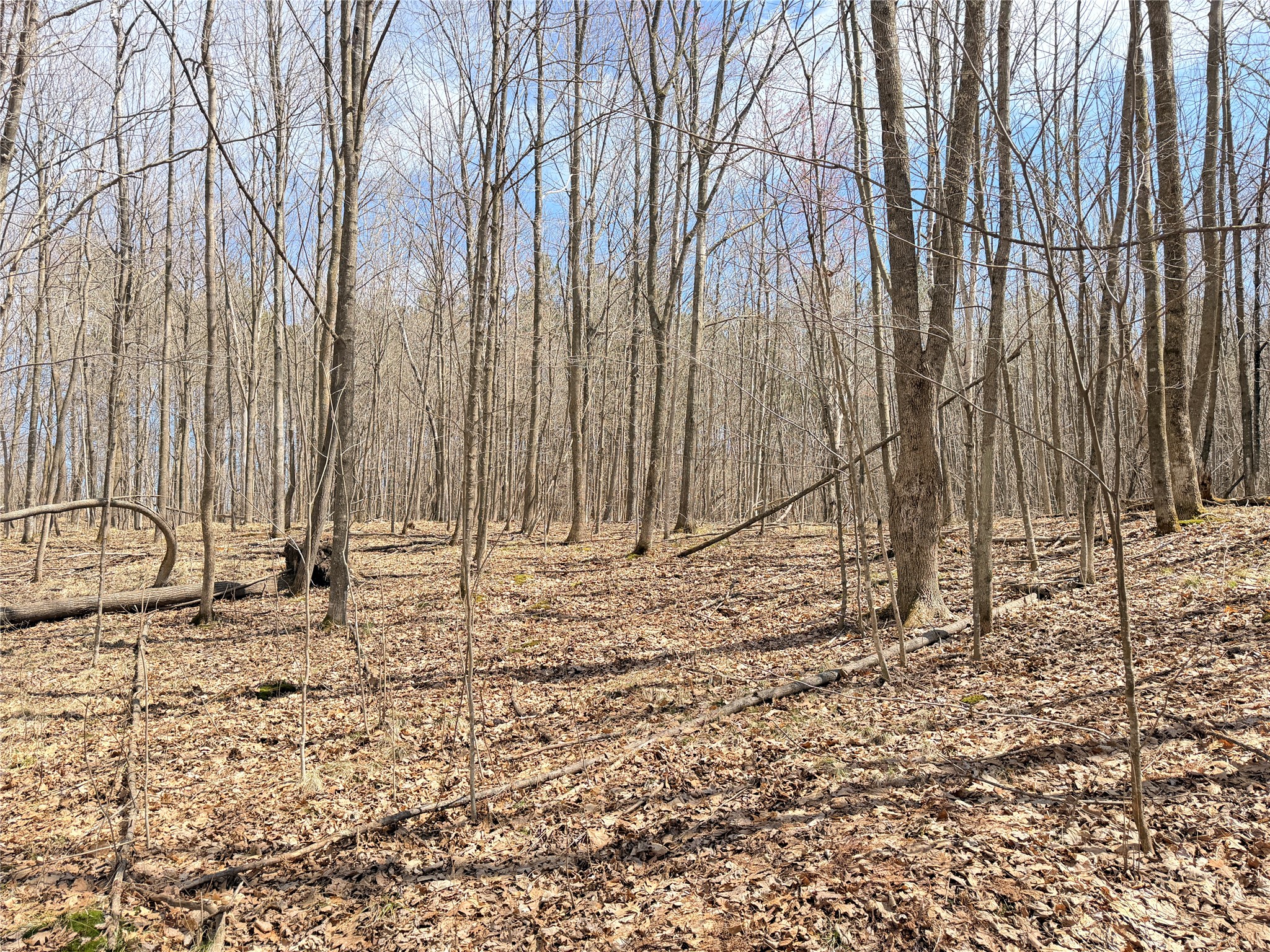 20 Acres Star Lake Road Rice Lake WI 54868 1598594 image14