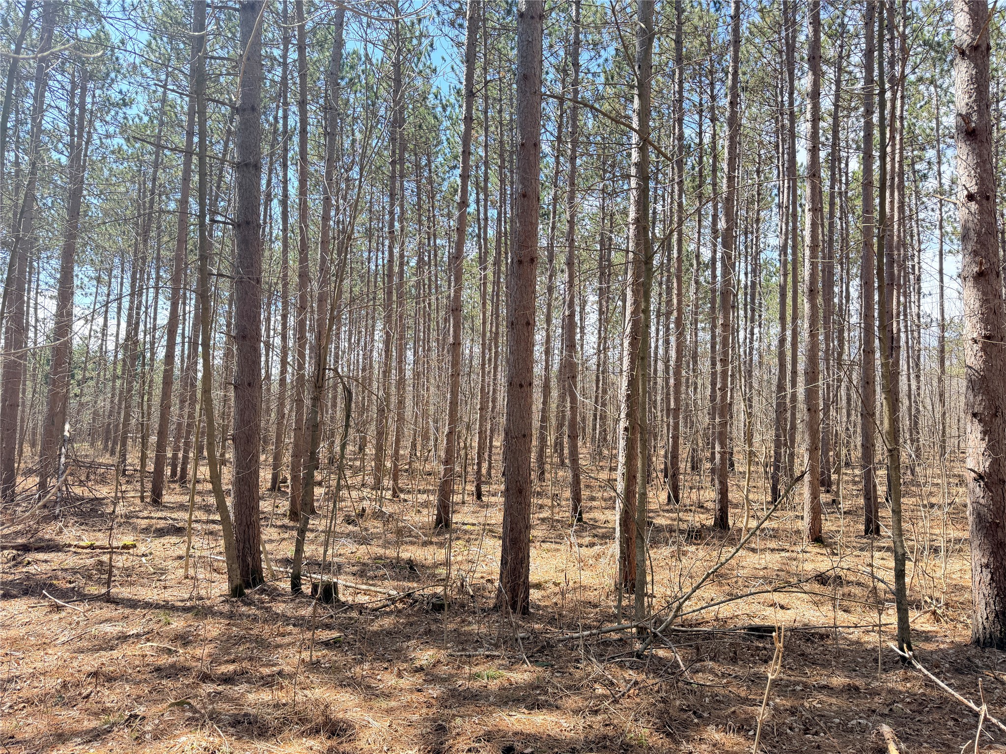 20 Acres Star Lake Road Rice Lake WI 54868 1598594 image15