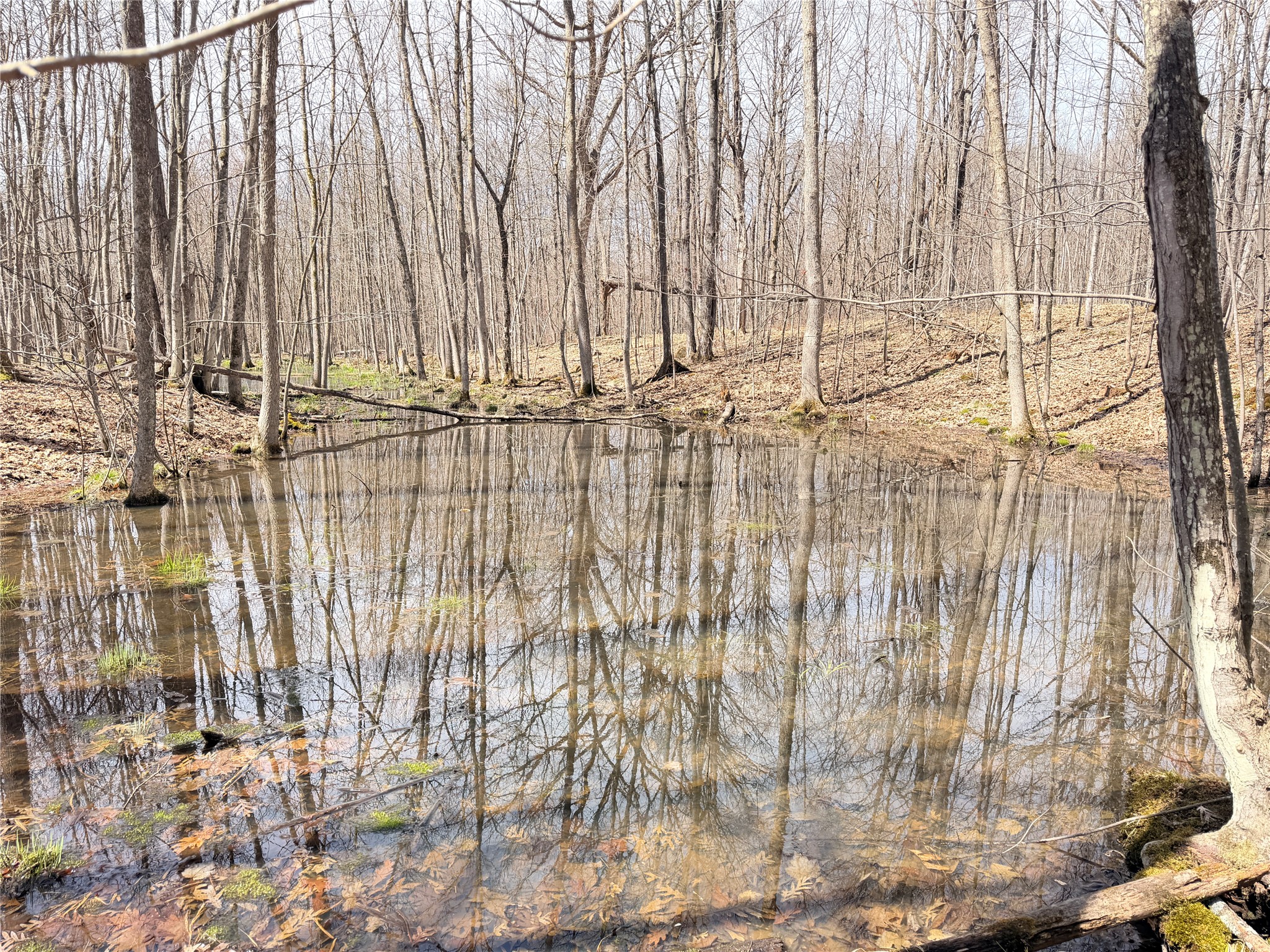 20 Acres Star Lake Road Rice Lake WI 54868 1598594 image17