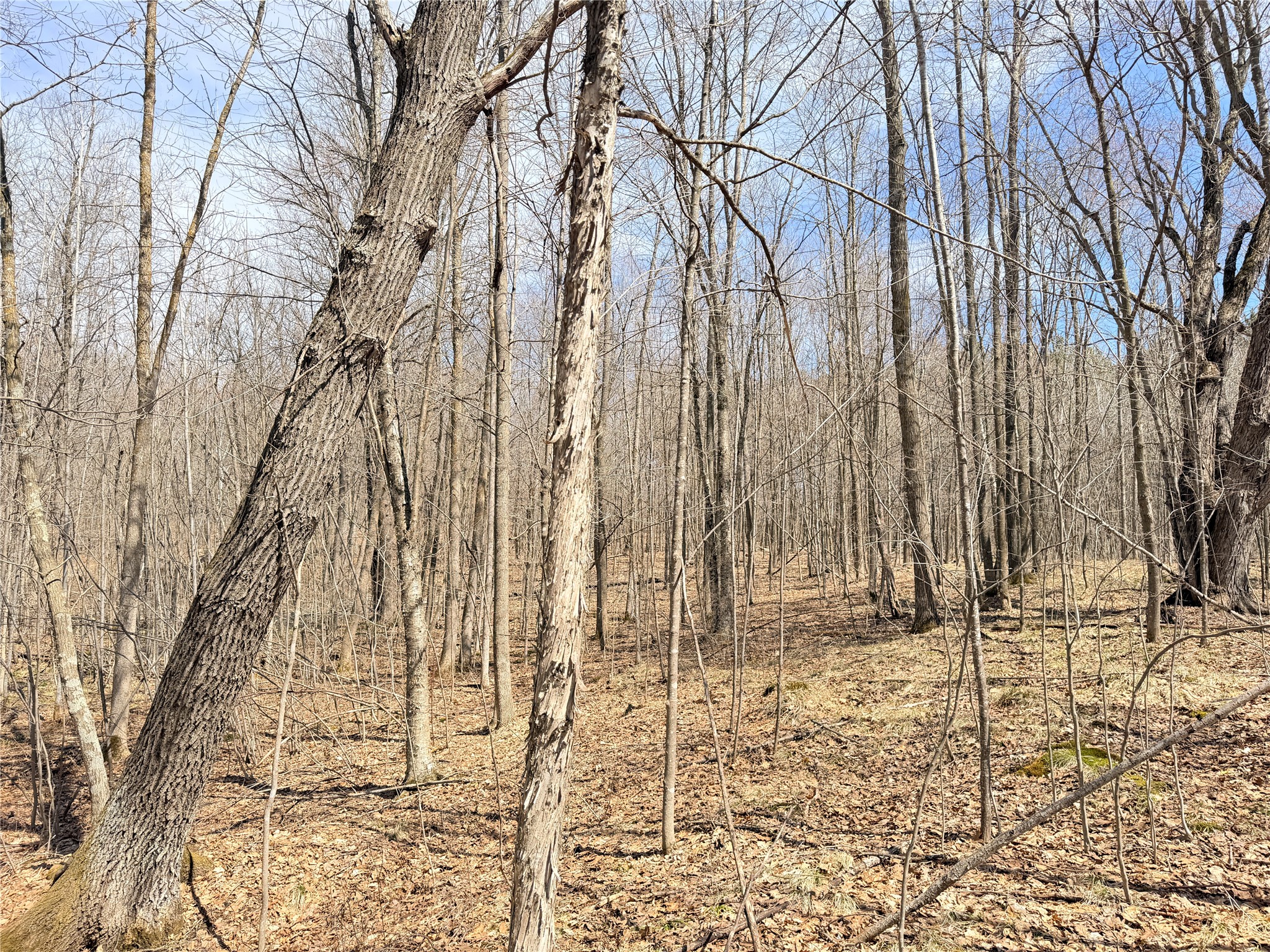 20 Acres Star Lake Road Rice Lake WI 54868 1598594 image19