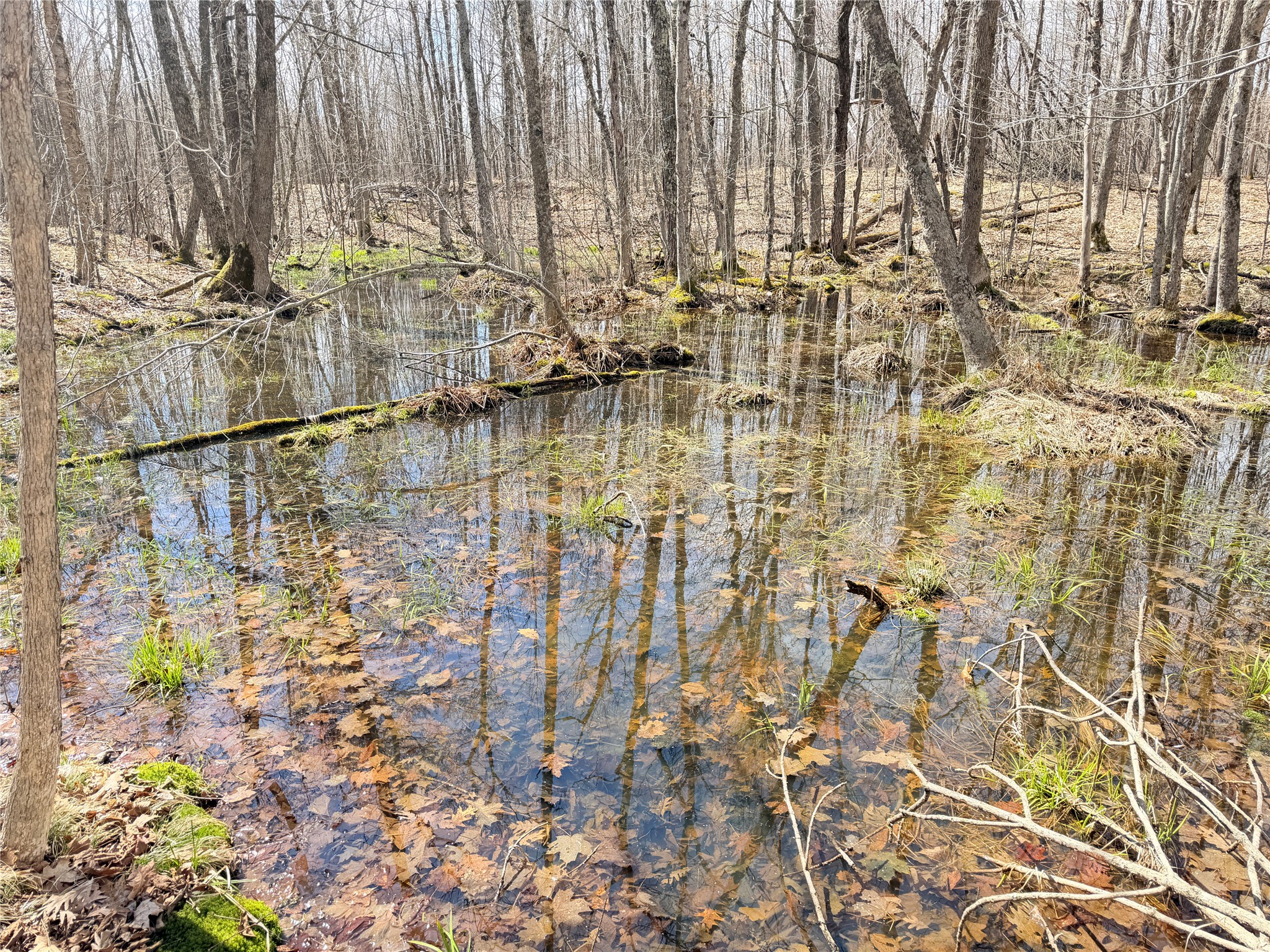 20 Acres Star Lake Road Rice Lake WI 54868 1598594 image21