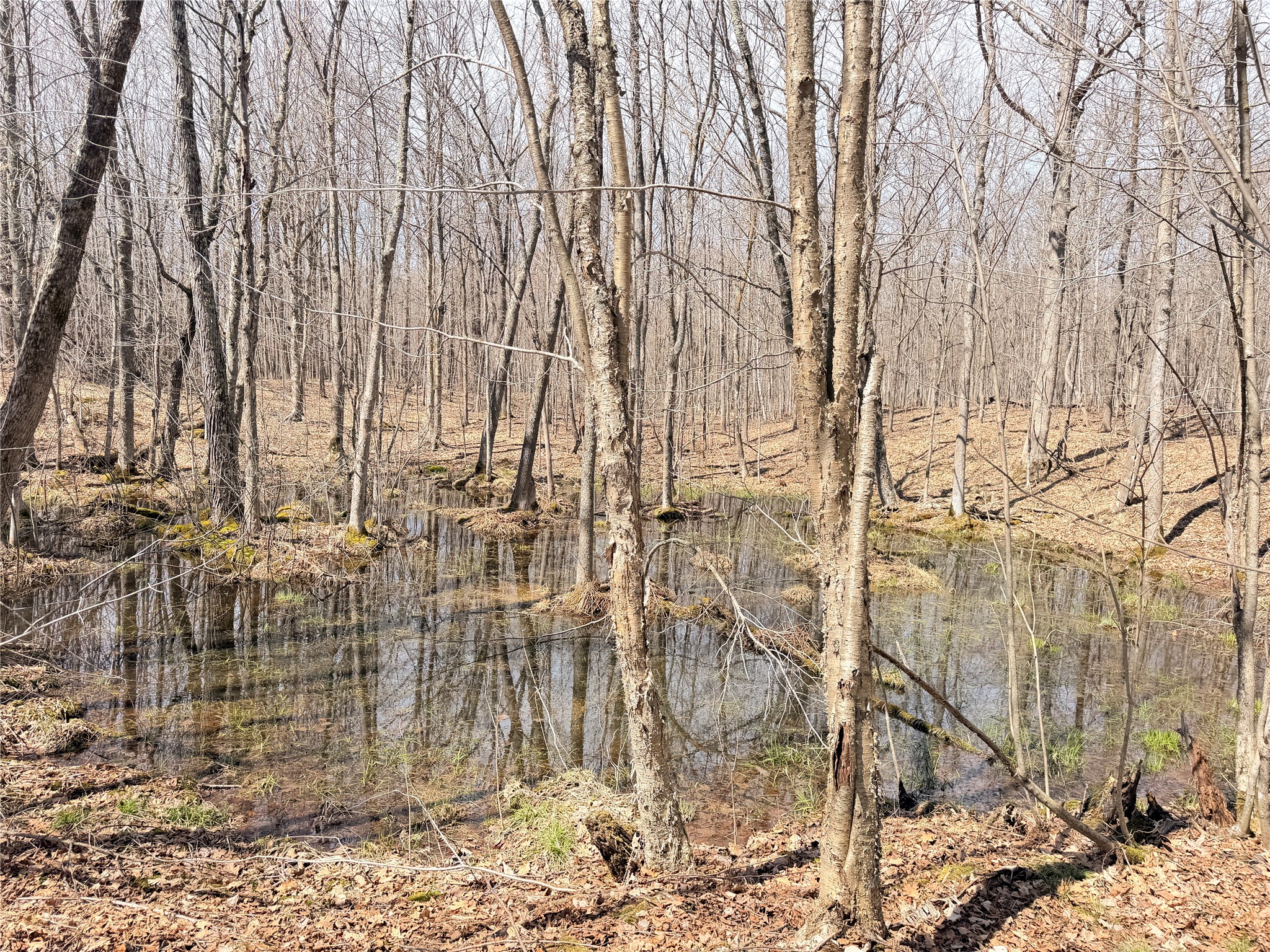 20 Acres Star Lake Road Rice Lake WI 54868 1598594 image23