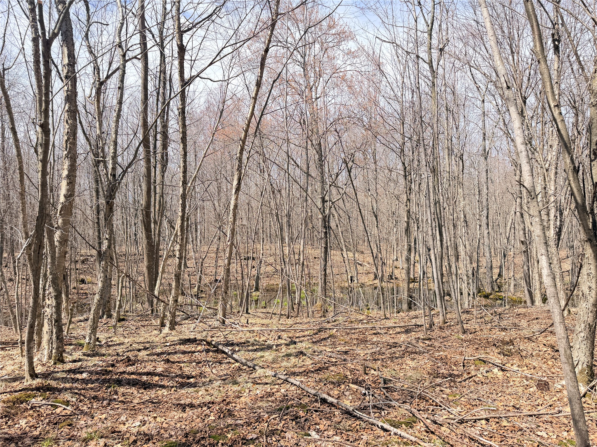 20 Acres Star Lake Road Rice Lake WI 54868 1598594 image25