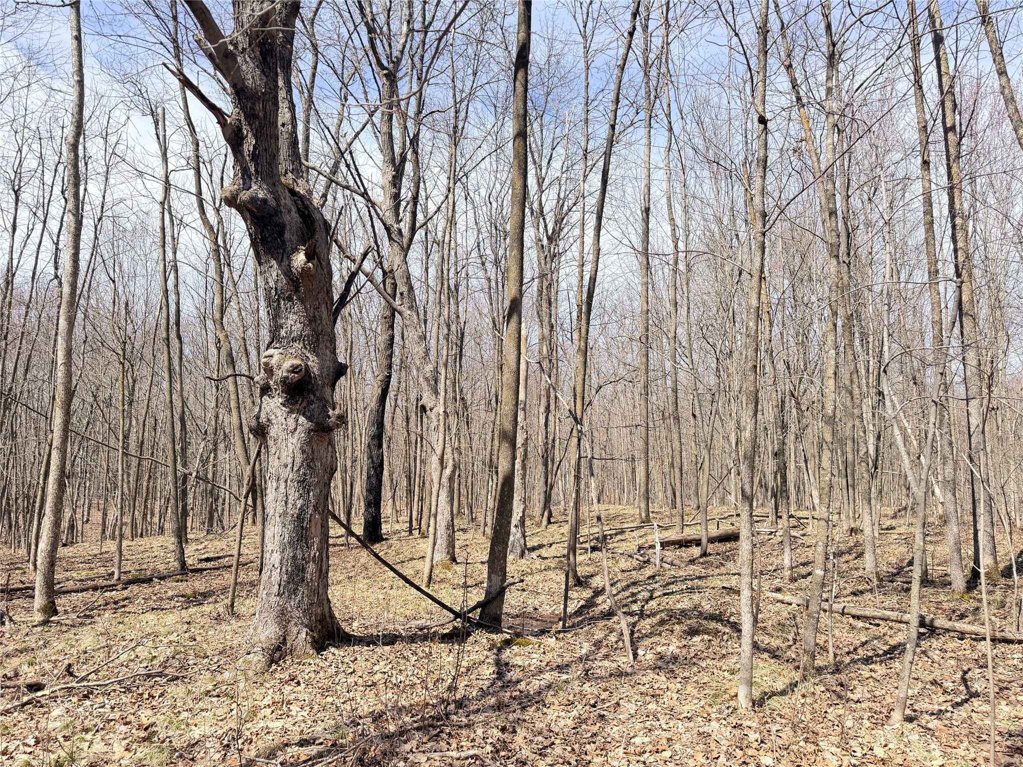 20 Acres Star Lake Road Rice Lake WI 54868 1598594 image29