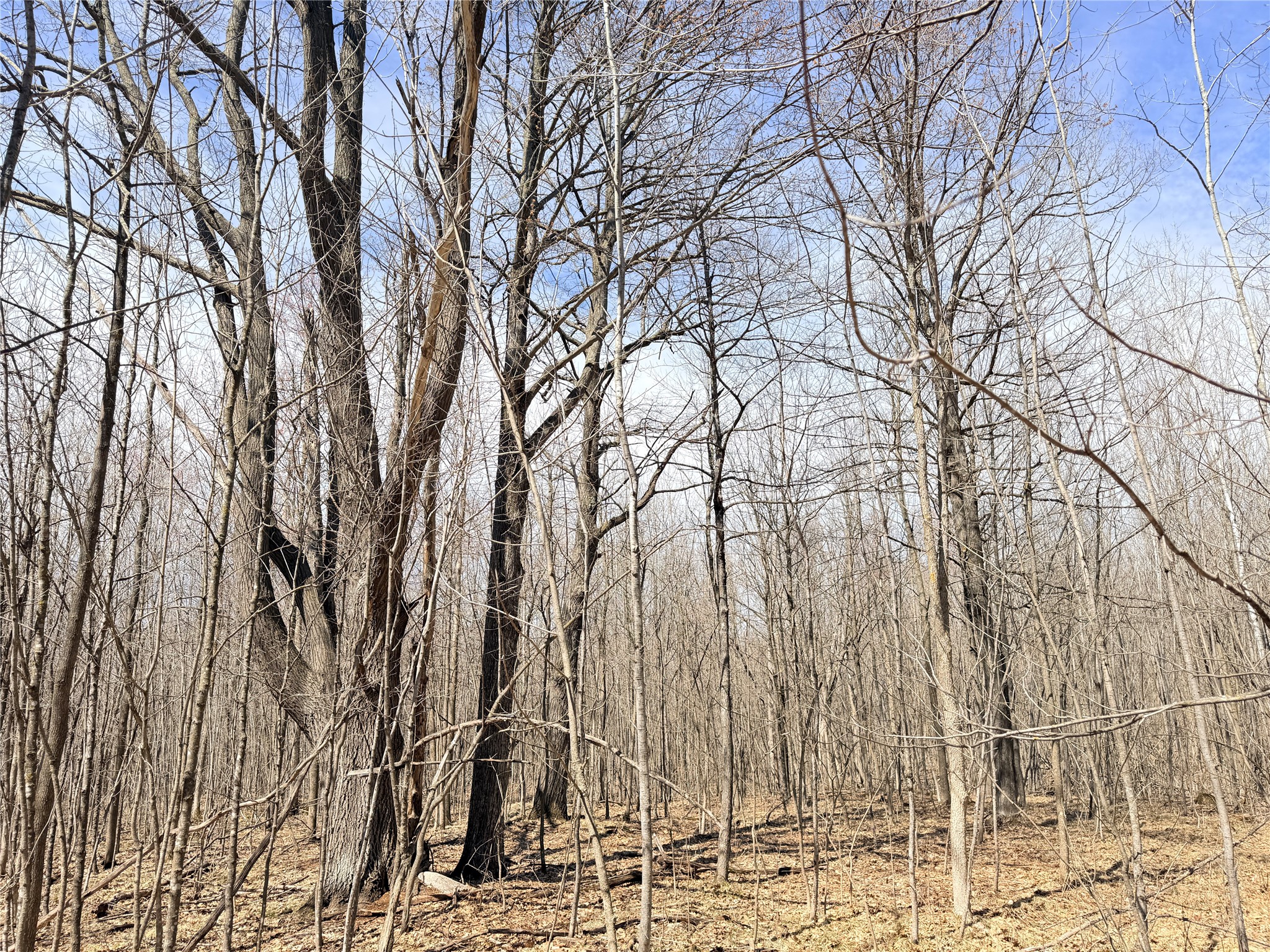 20 Acres Star Lake Road Rice Lake WI 54868 1598594 image32