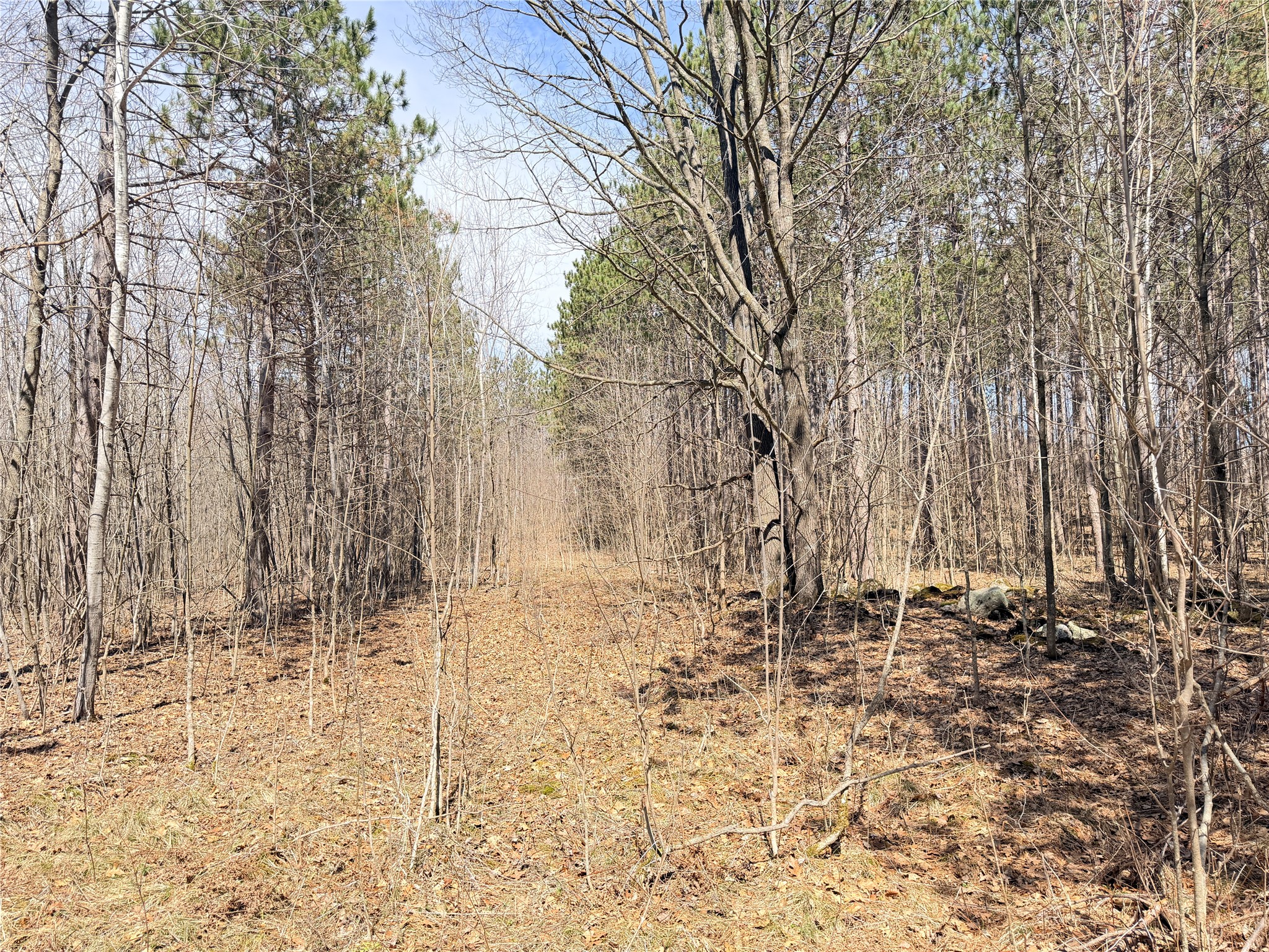 20 Acres Star Lake Road Rice Lake WI 54868 1598594 image33