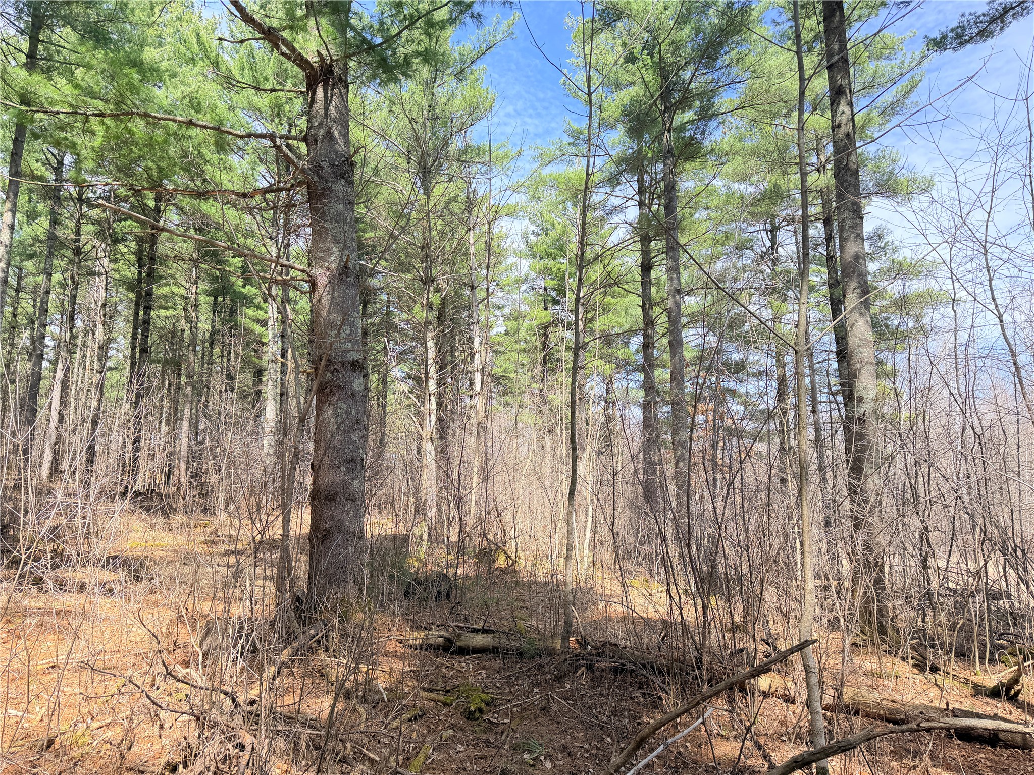 20 Acres Star Lake Road Rice Lake WI 54868 1598594 image36