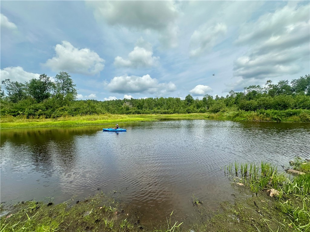 20 Acres Townline Road Ojibwa WI 54862 - Kenyon Creek 1594468 image10