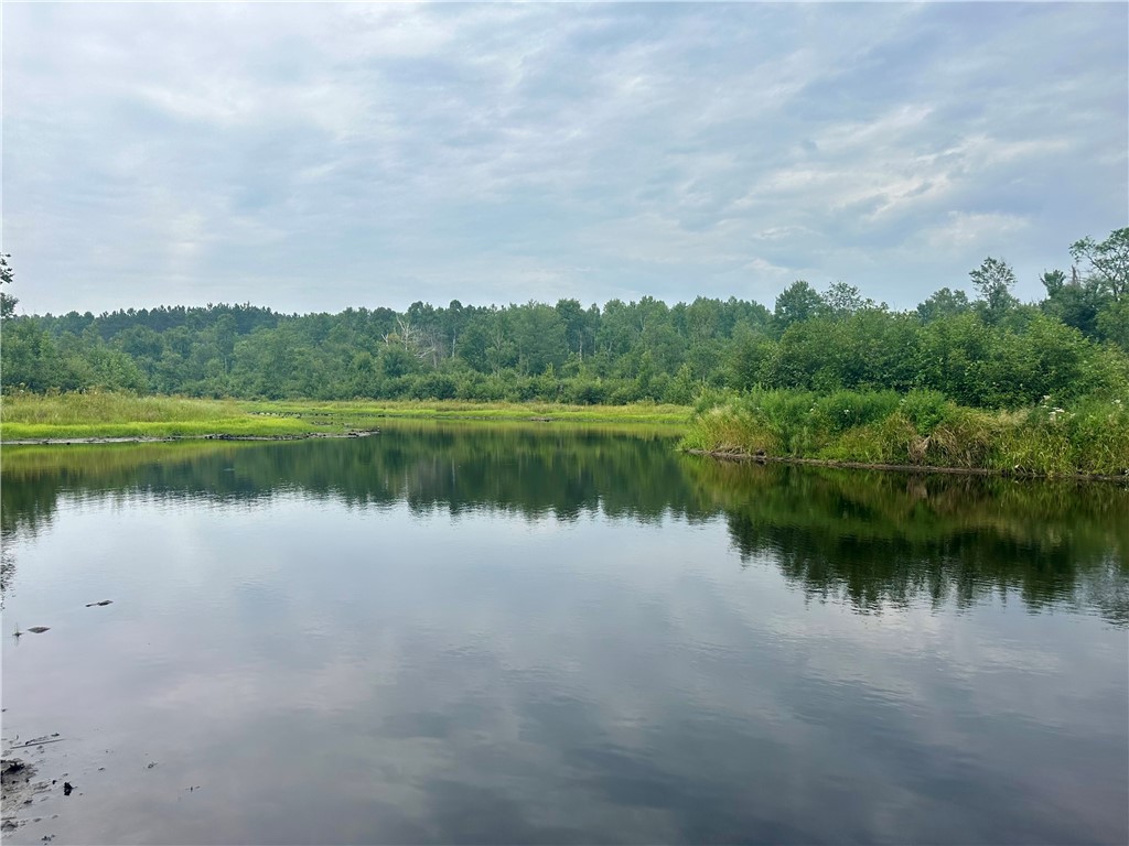 20 Acres Townline Road Ojibwa WI 54862 - Kenyon Creek 1594468 image14