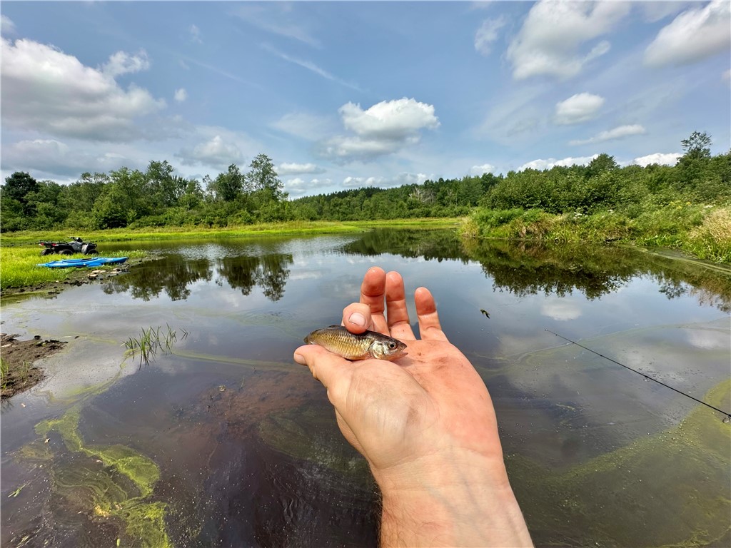 20 Acres Townline Road Ojibwa WI 54862 - Kenyon Creek 1594468 image15