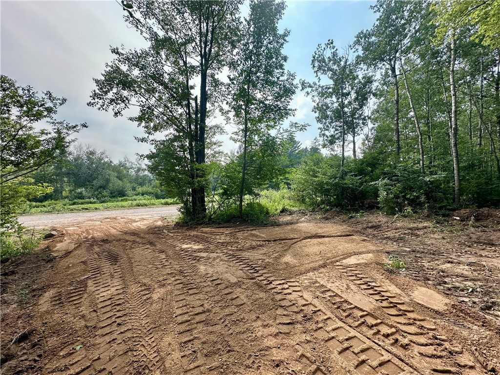 20 Acres Townline Road Ojibwa WI 54862 - Kenyon Creek 1594468 image18