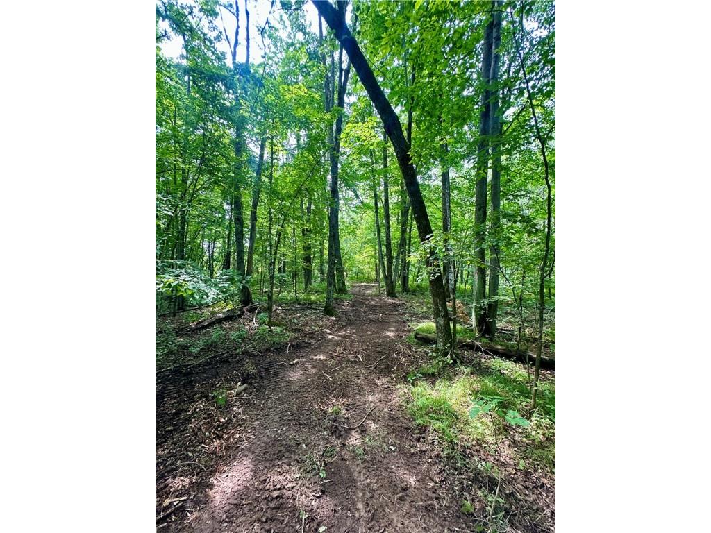 20 Acres Townline Road Ojibwa WI 54862 - Kenyon Creek 1594468 image20