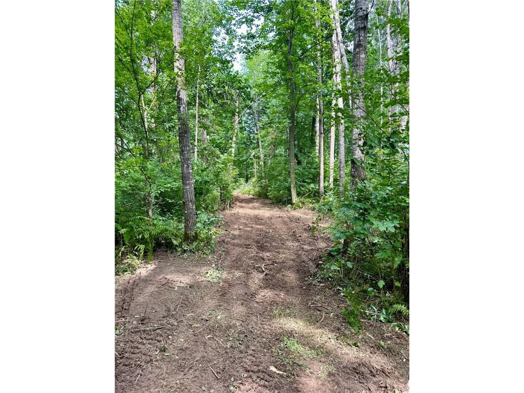 20 Acres Townline Road Ojibwa WI 54862 - Kenyon Creek 1594468 image21