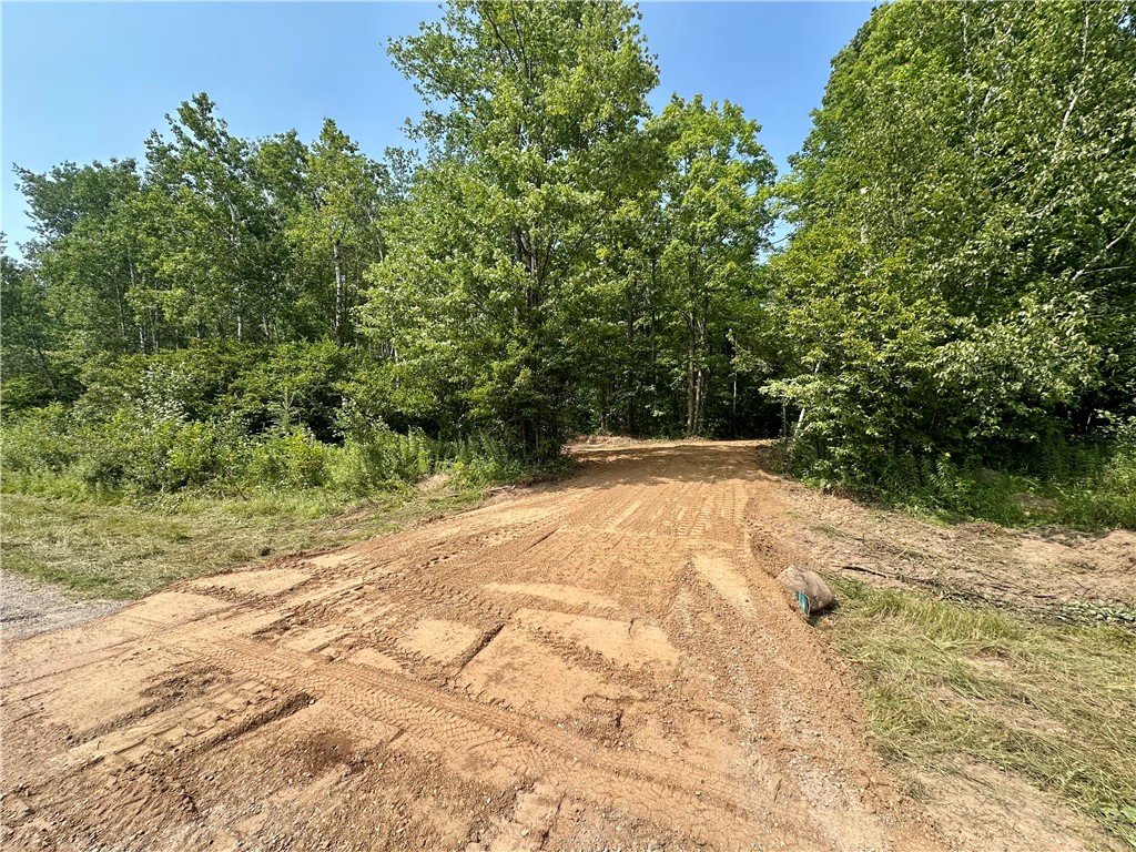 20 Acres Townline Road Ojibwa WI 54862 - Kenyon Creek 1594468 image24