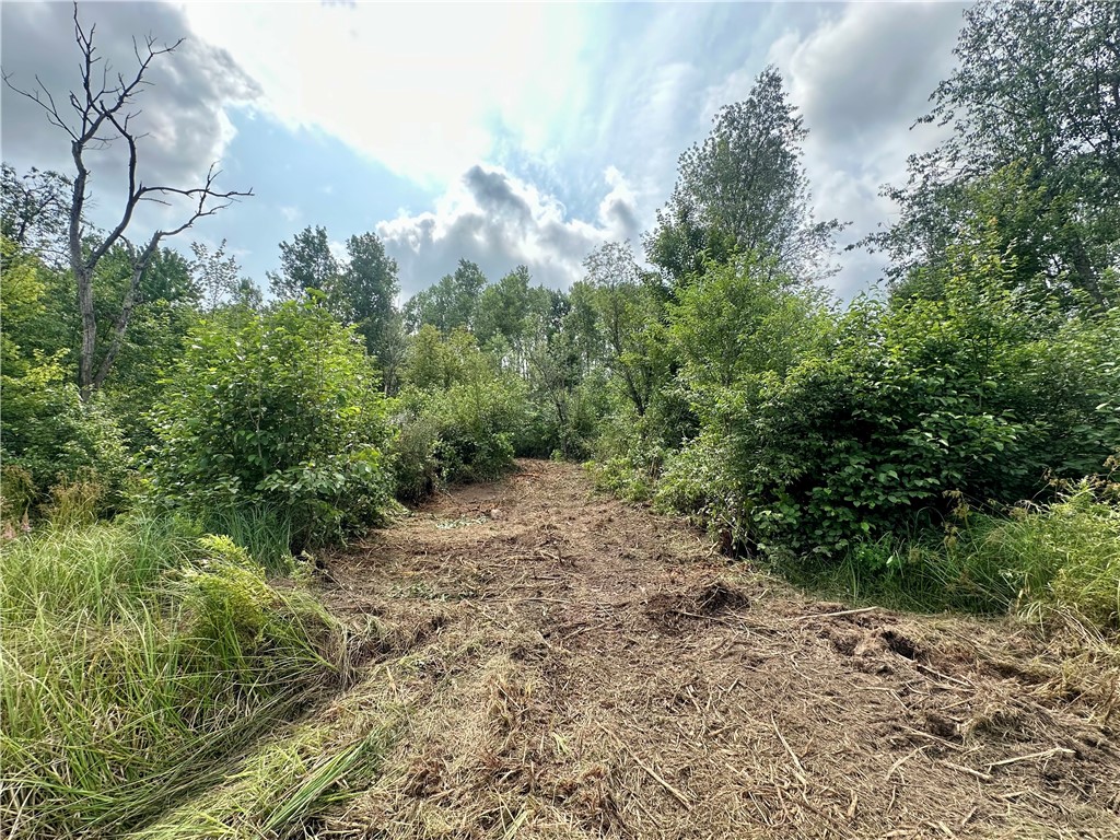 20 Acres Townline Road Ojibwa WI 54862 - Kenyon Creek 1594468 image26