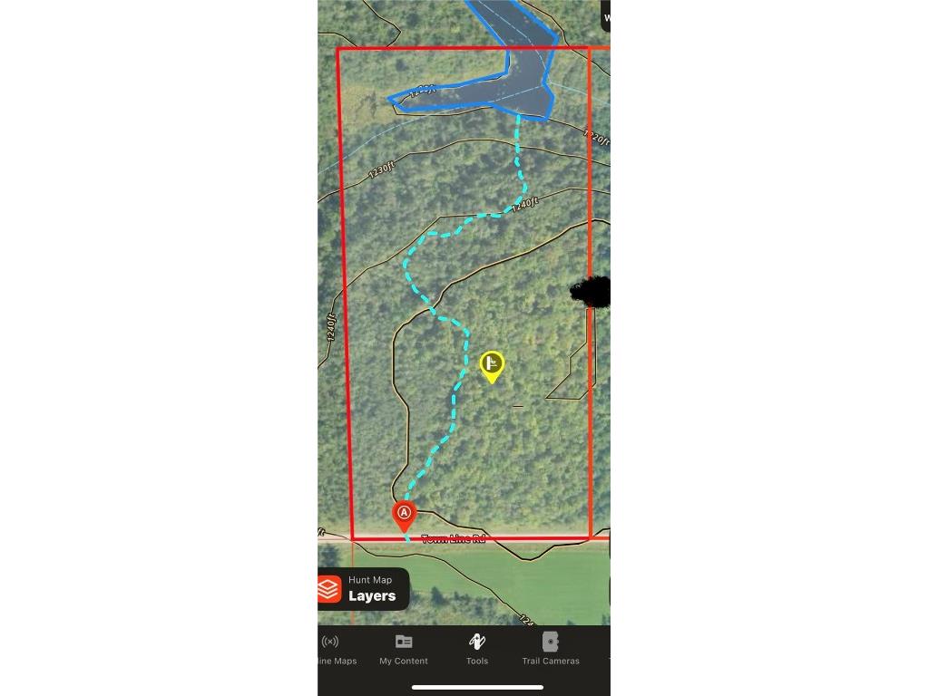 20 Acres Townline Road Ojibwa WI 54862 - Kenyon Creek 1594468 image4