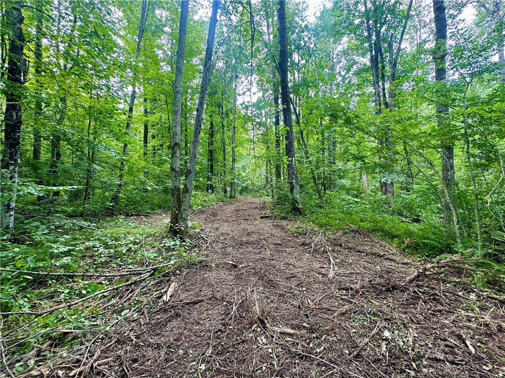 20 Acres Townline Road Ojibwa WI 54862 - Kenyon Creek 1594468 image6