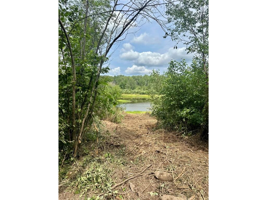 20 Acres Townline Road Ojibwa WI 54862 - Kenyon Creek 1594468 image8