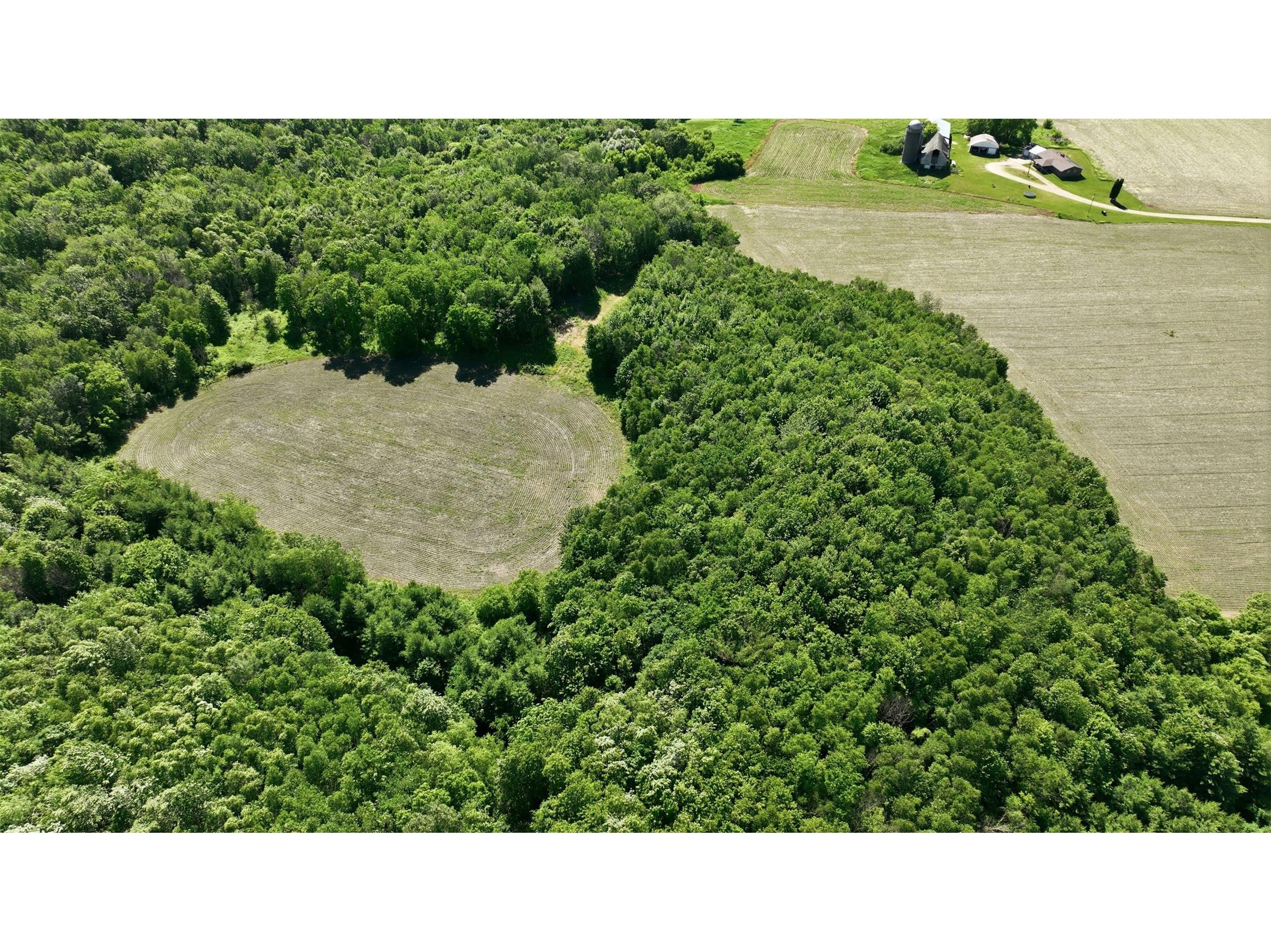 20 acres 150th Ave. Colfax WI 54730 1602151 image10