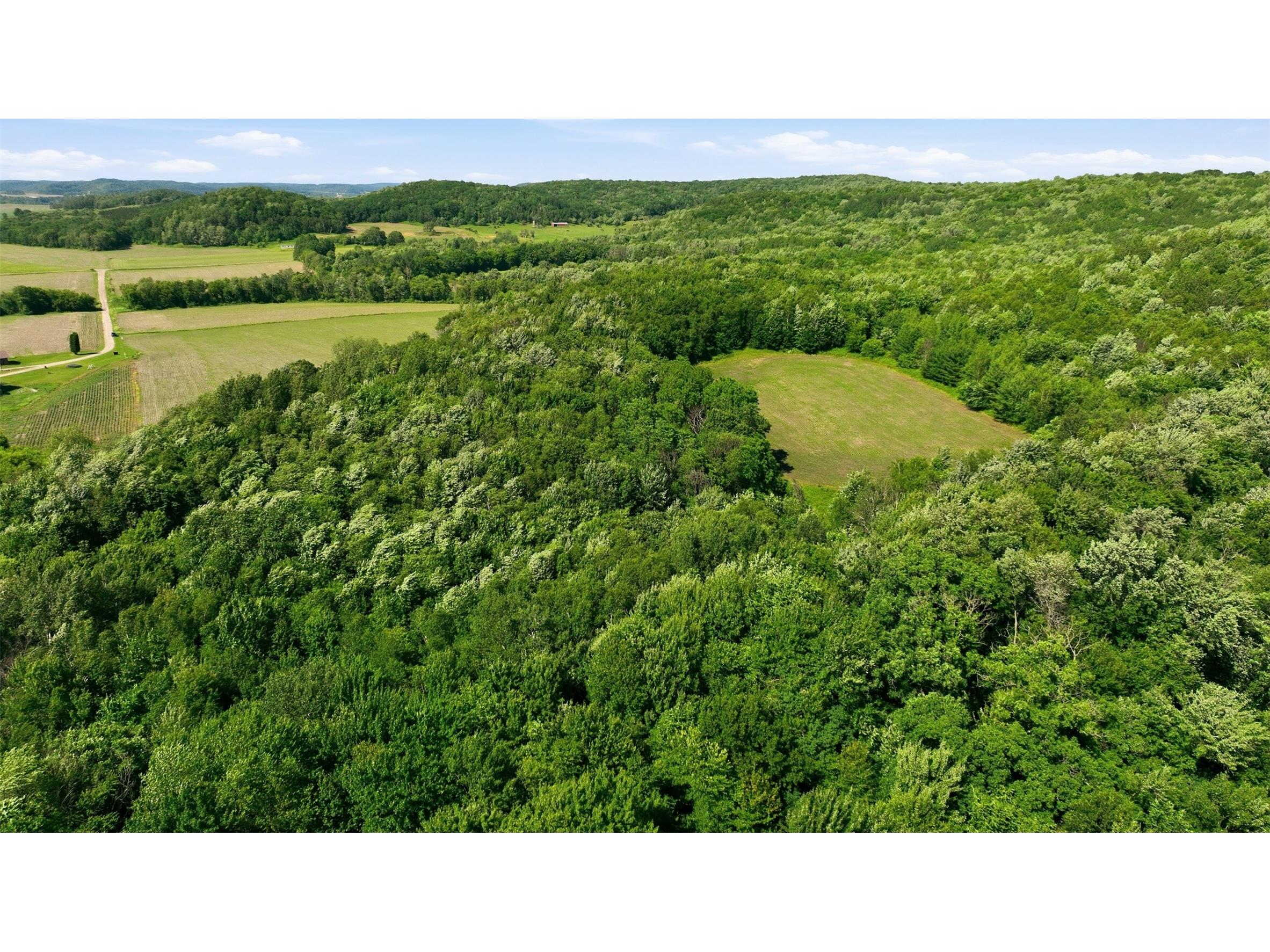 20 acres 150th Ave. Colfax WI 54730 1602151 image12