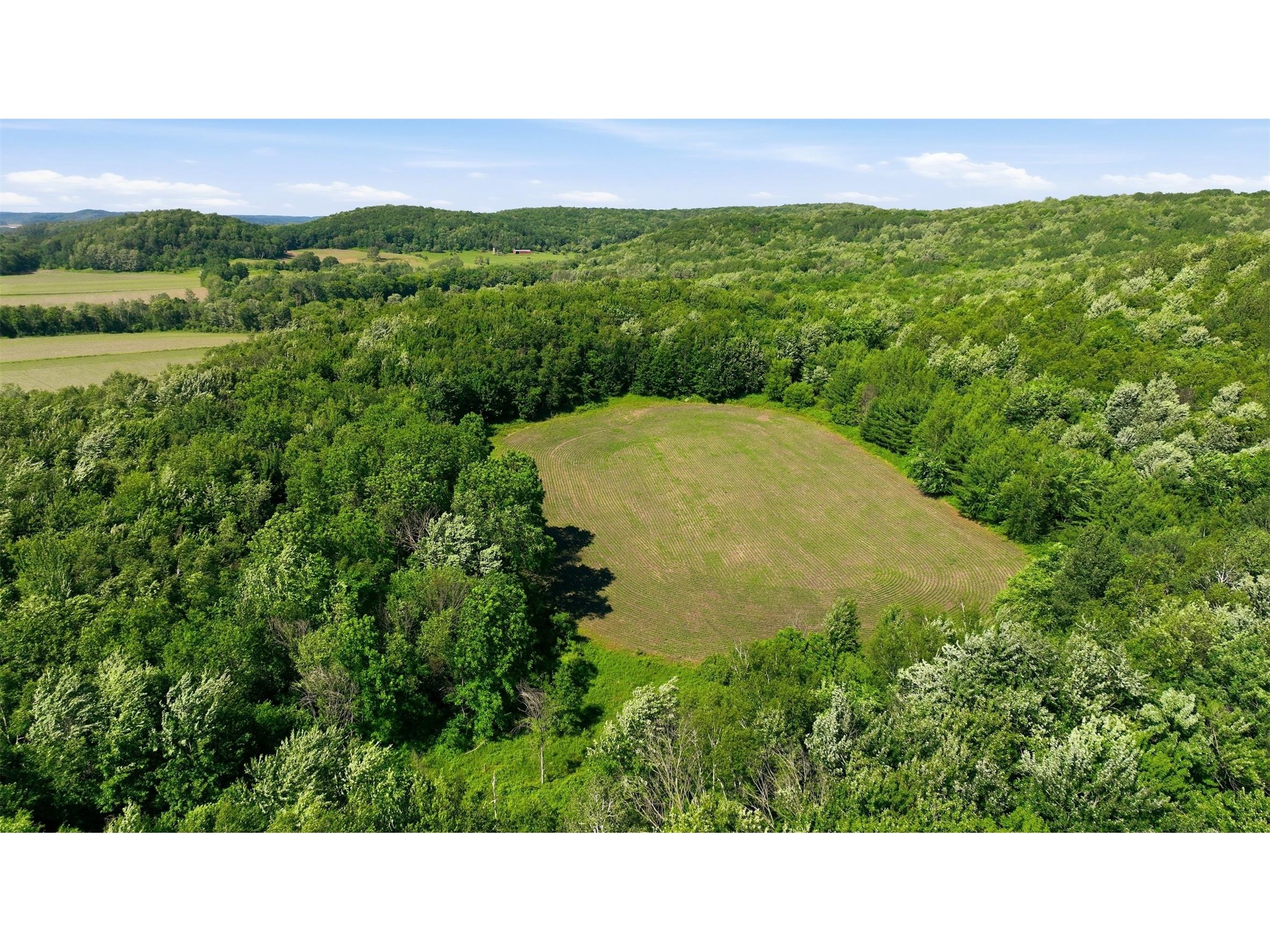 20 acres 150th Ave. Colfax WI 54730 1602151 image13