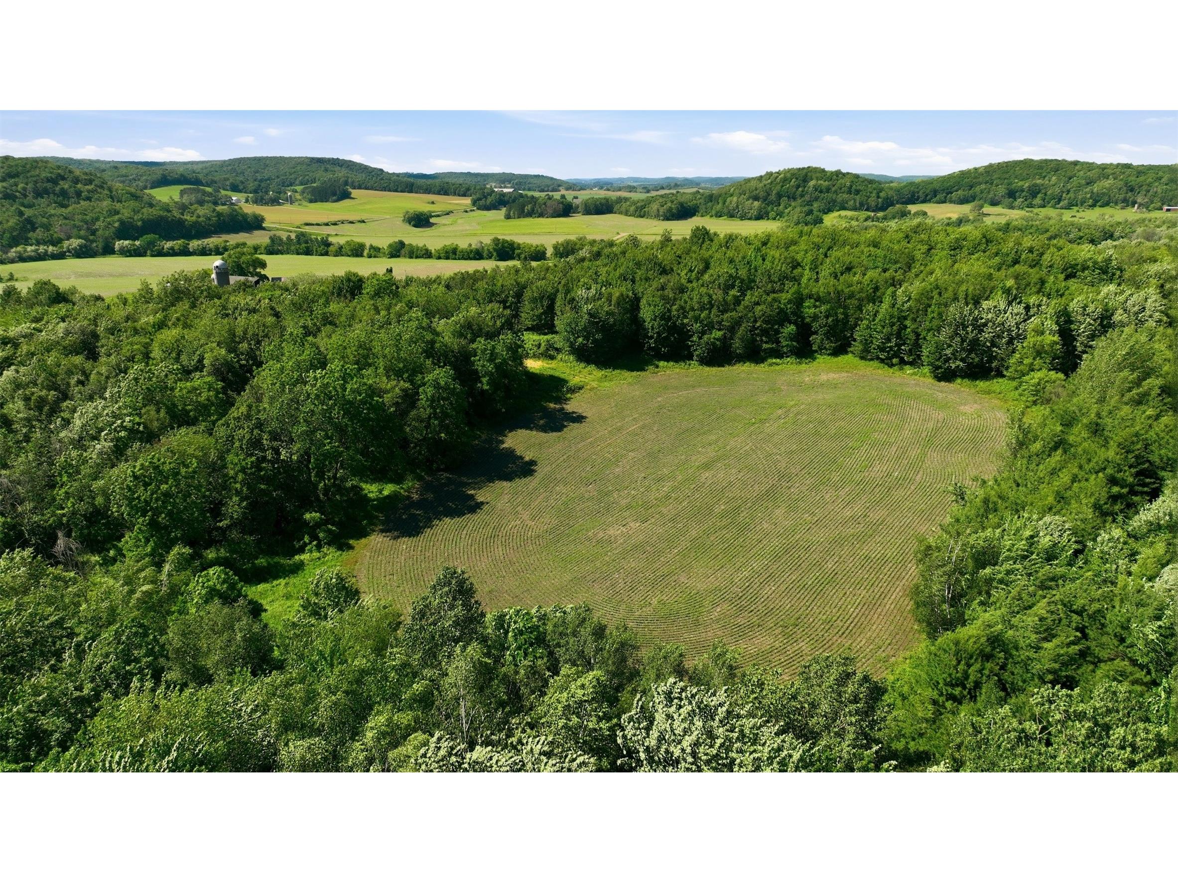 20 acres 150th Ave. Colfax WI 54730 1602151 image14
