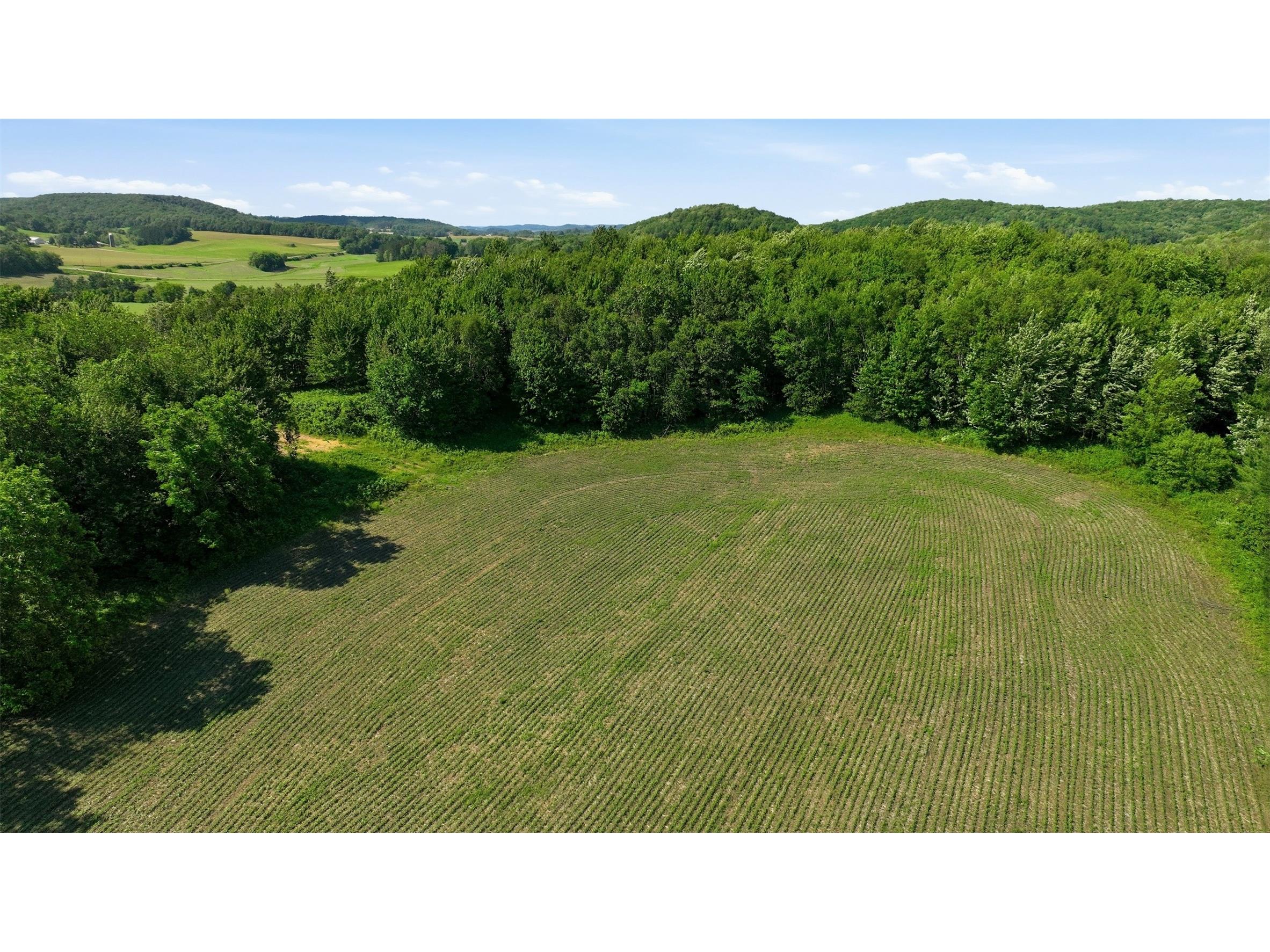 20 acres 150th Ave. Colfax WI 54730 1602151 image15