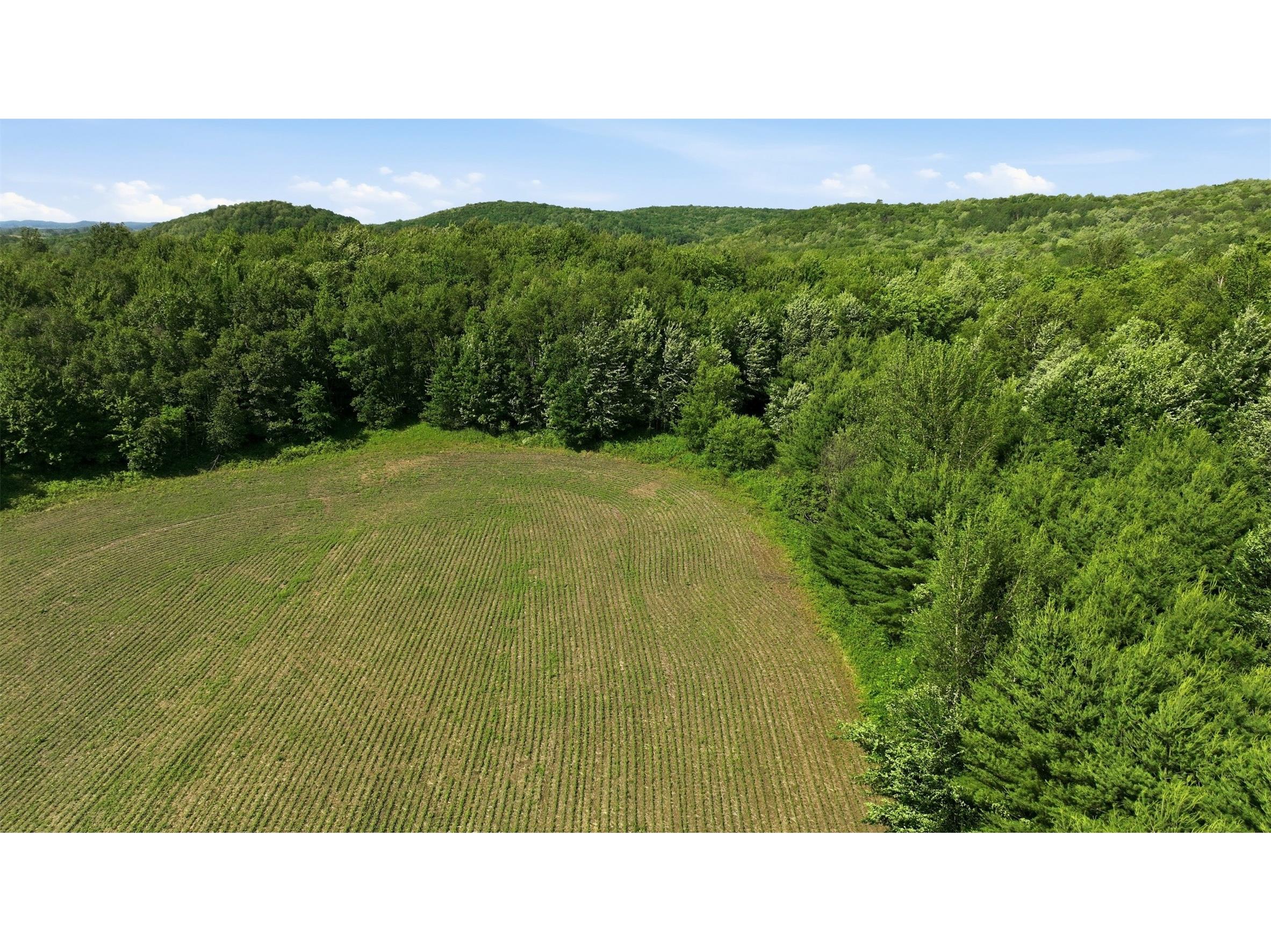 20 acres 150th Ave. Colfax WI 54730 1602151 image16