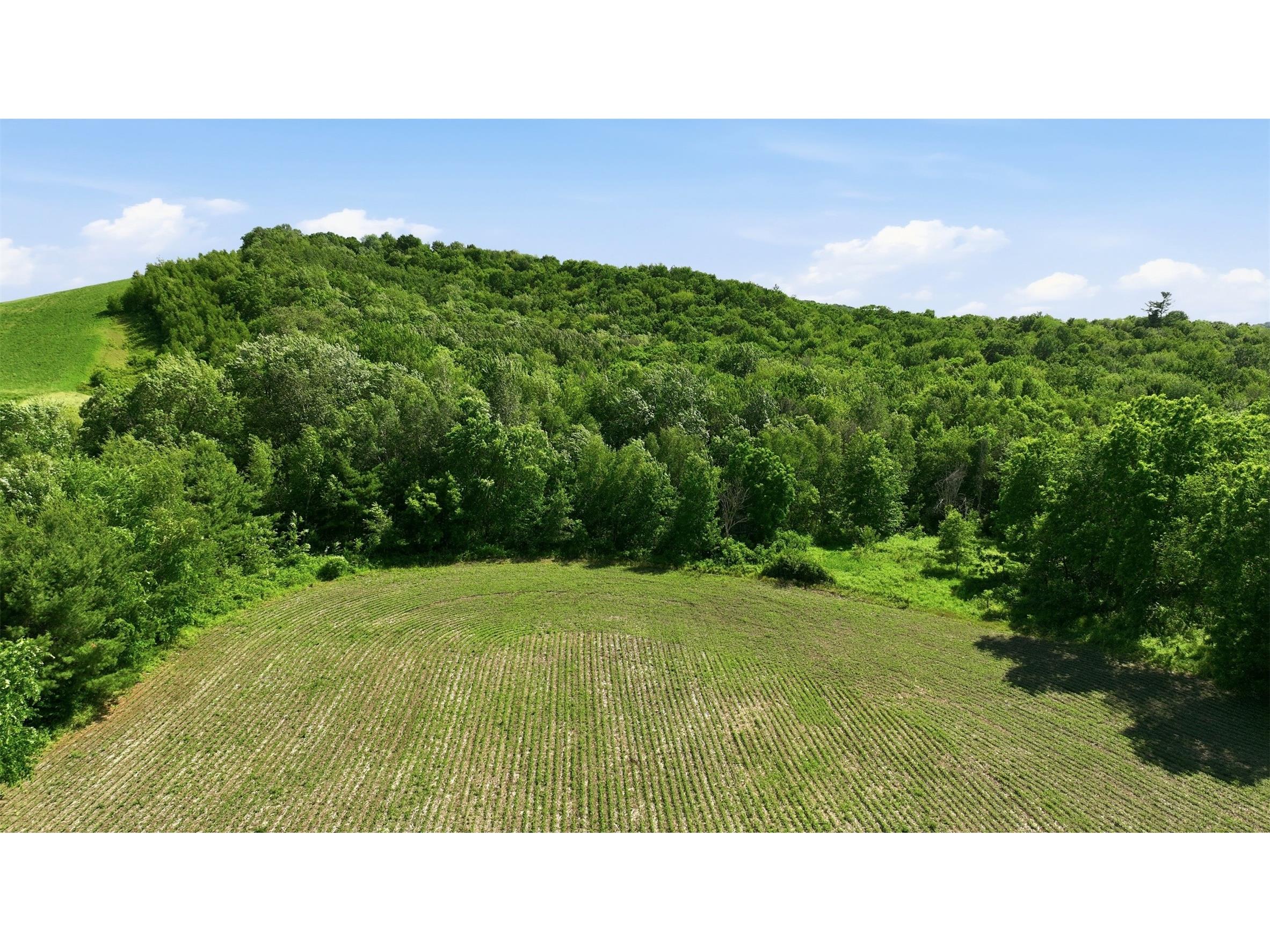 20 acres 150th Ave. Colfax WI 54730 1602151 image17