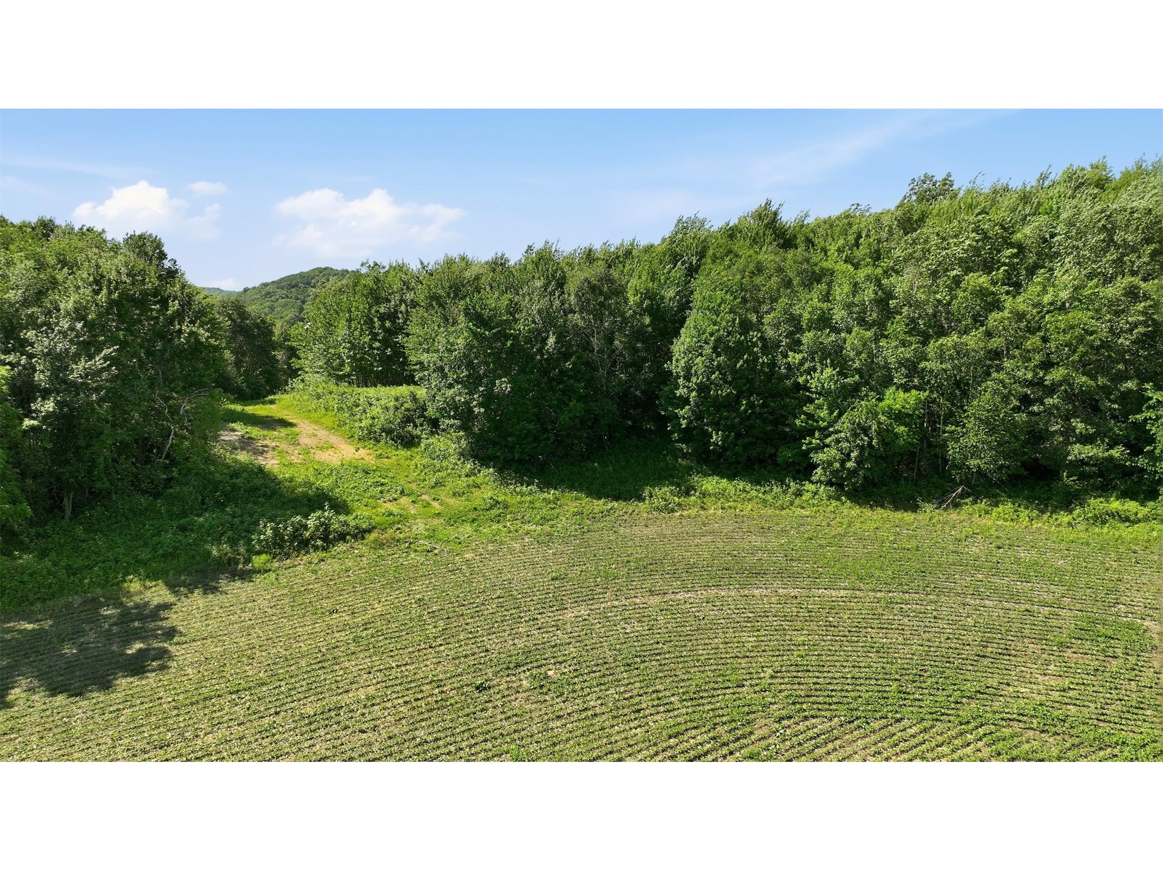 20 acres 150th Ave. Colfax WI 54730 1602151 image18