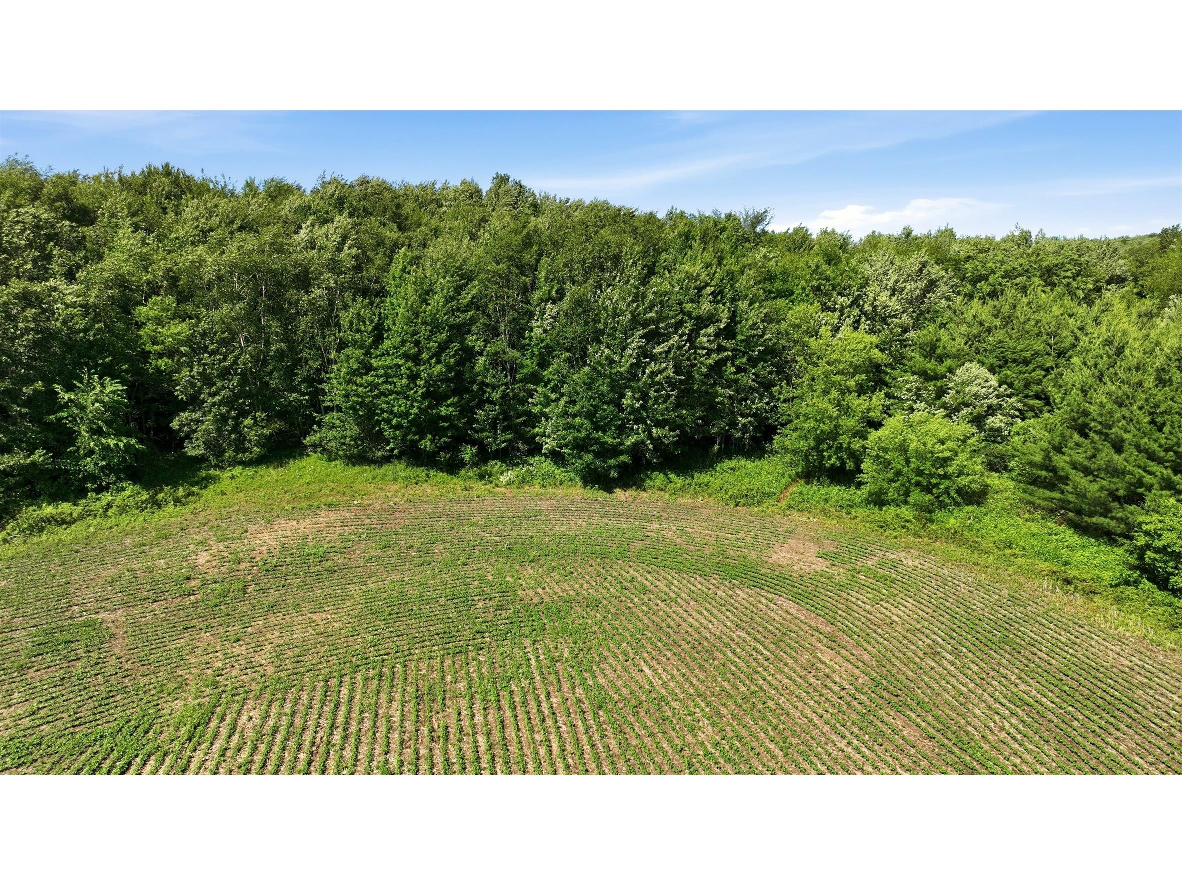 20 acres 150th Ave. Colfax WI 54730 1602151 image19