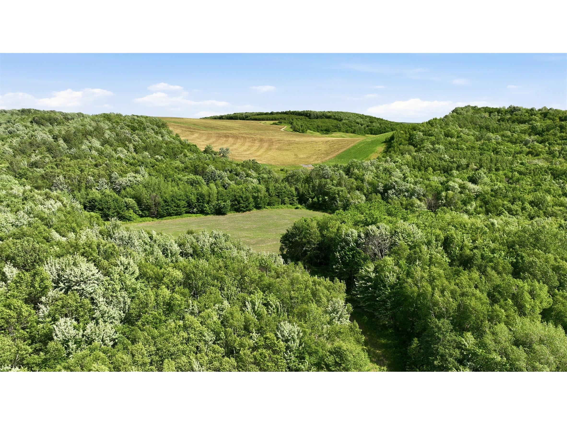20 acres 150th Ave. Colfax WI 54730 1602151 image20